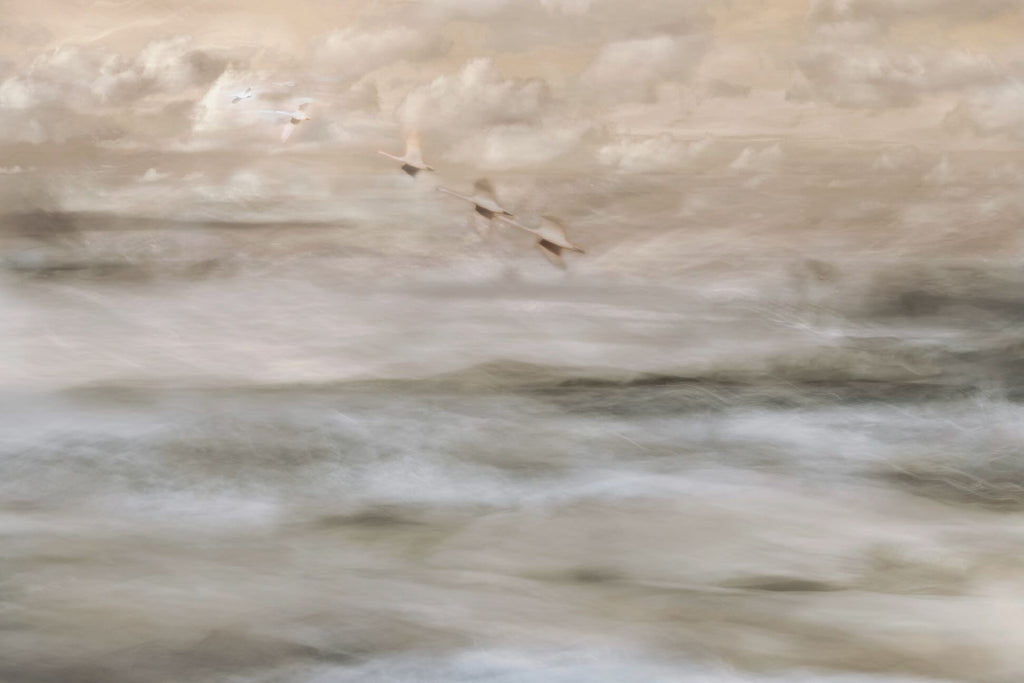 Flight Over Mist
