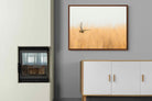 Pixalot ® Focused