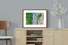 Pixalot ® Forest River