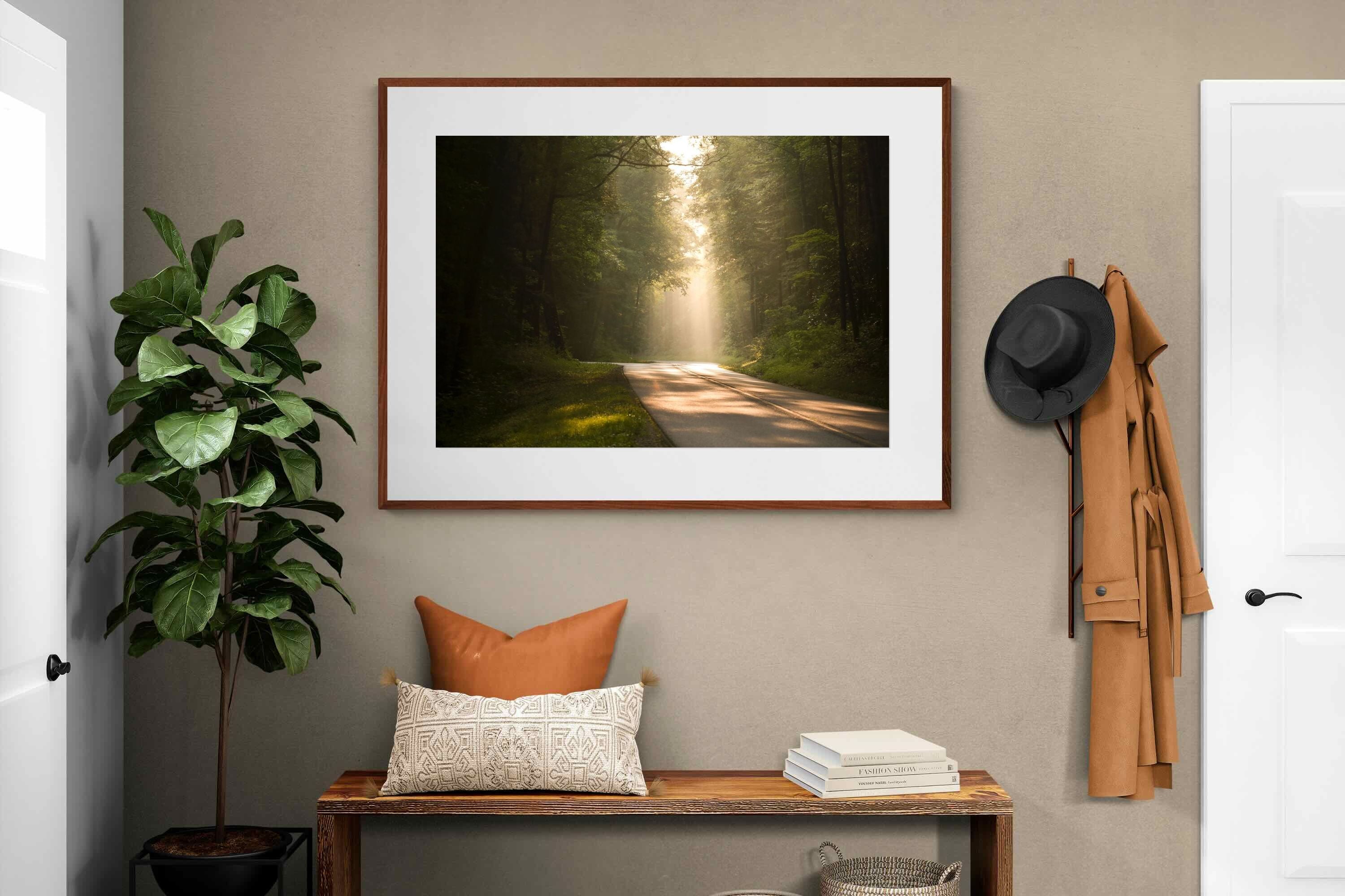 Pixalot ® Forest Road
