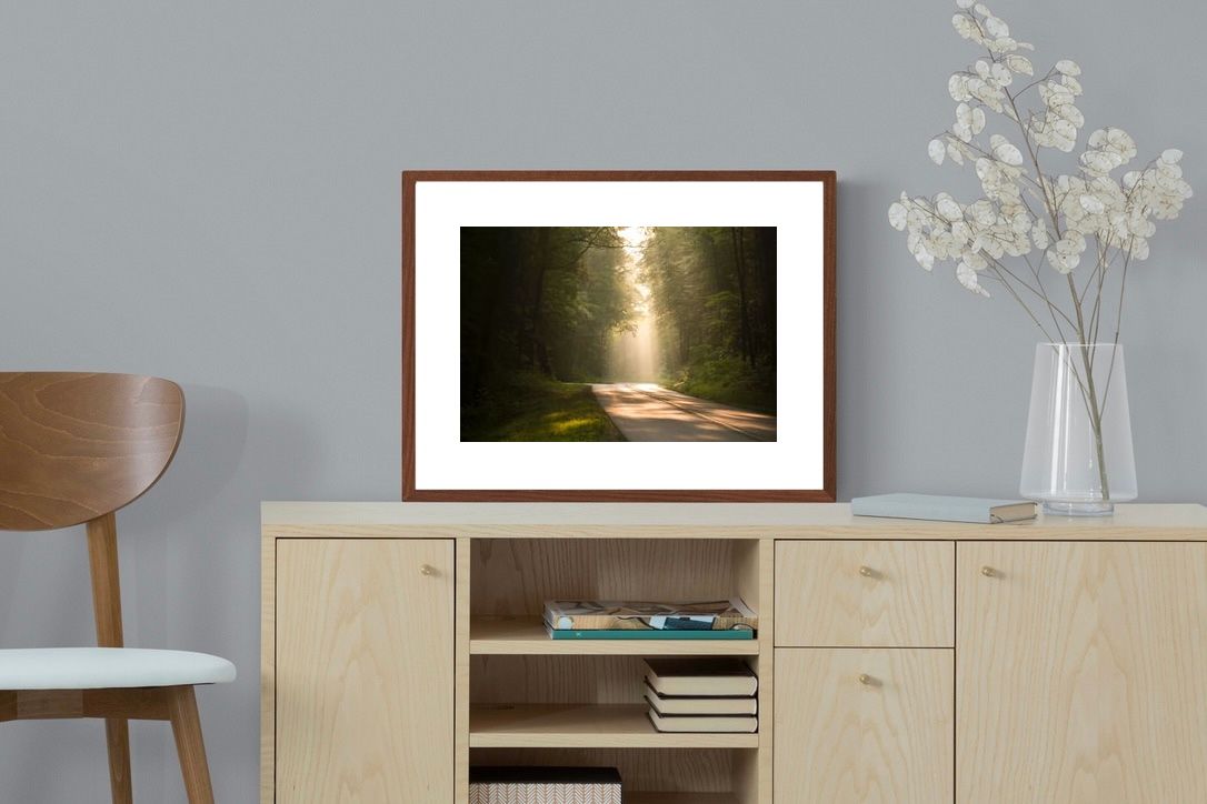 Pixalot ® Forest Road