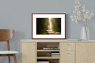 Pixalot ® Forest Road
