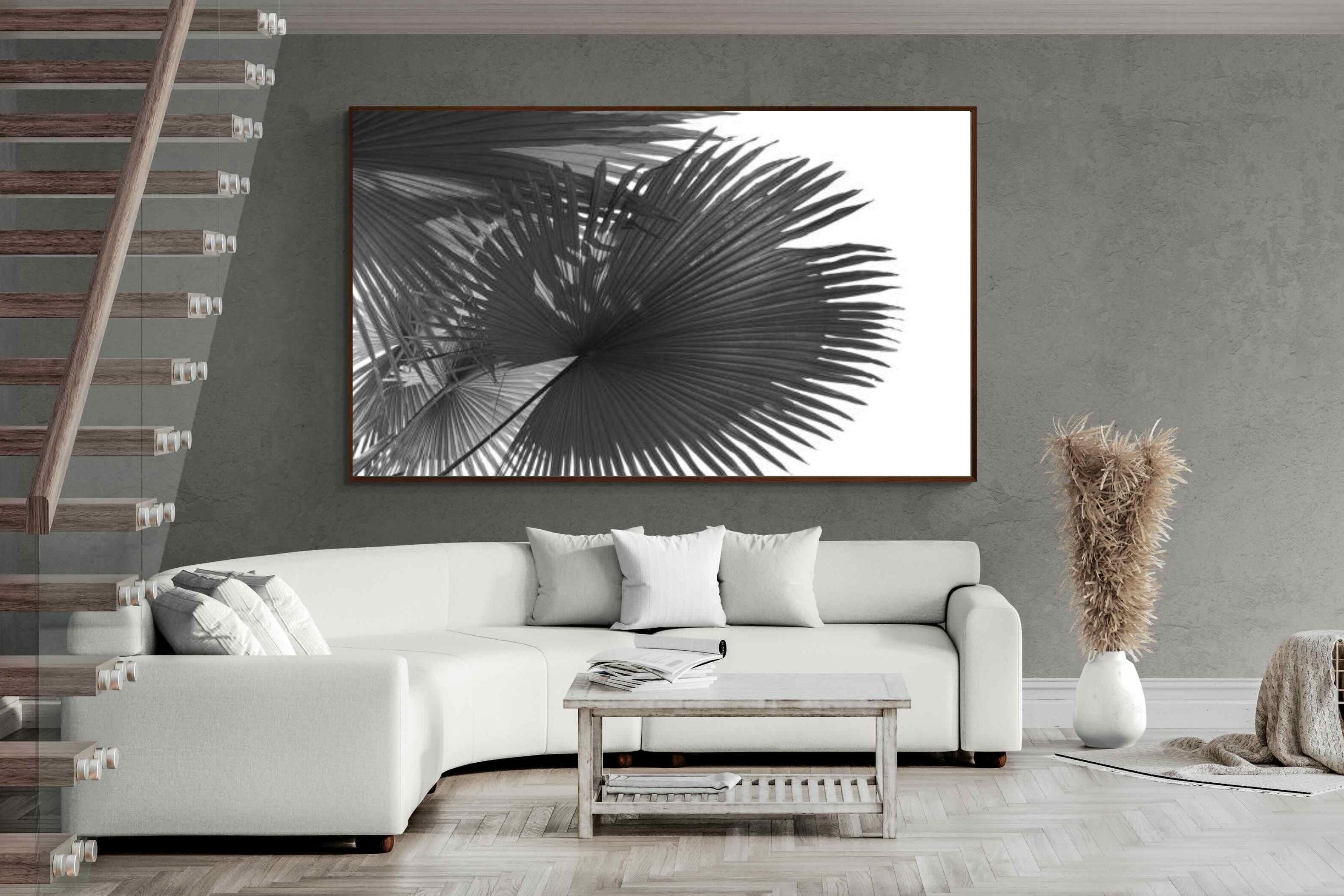 Pixalot ® Frond