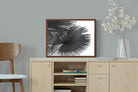 Pixalot ® Frond