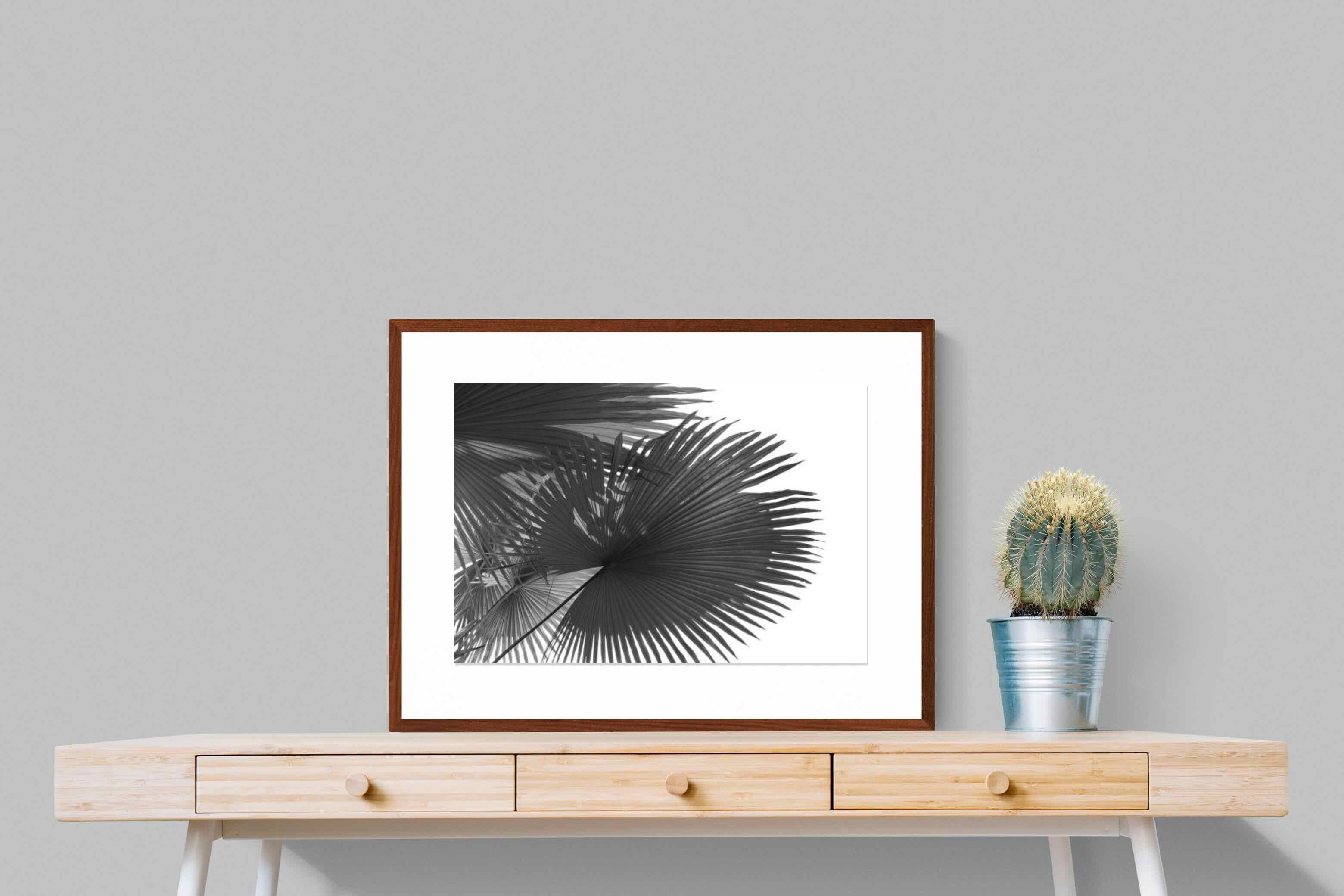 Pixalot ® Frond