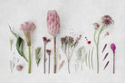 Fynbos Garden-Wall_Art-Pixalot