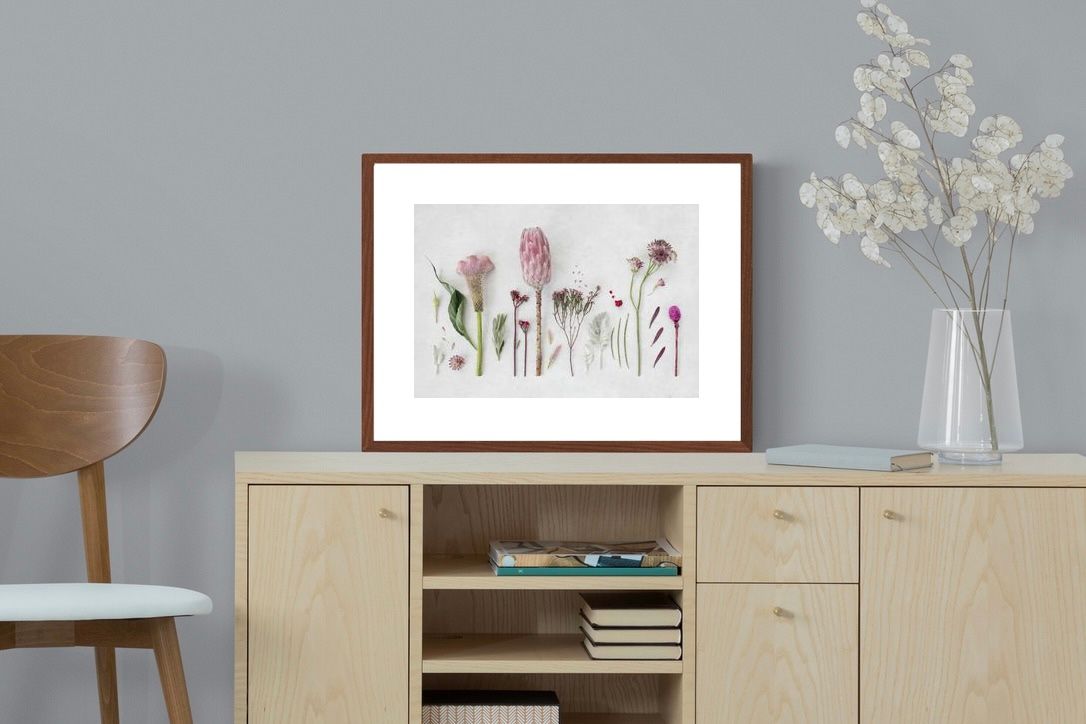 Pixalot Fynbos Garden