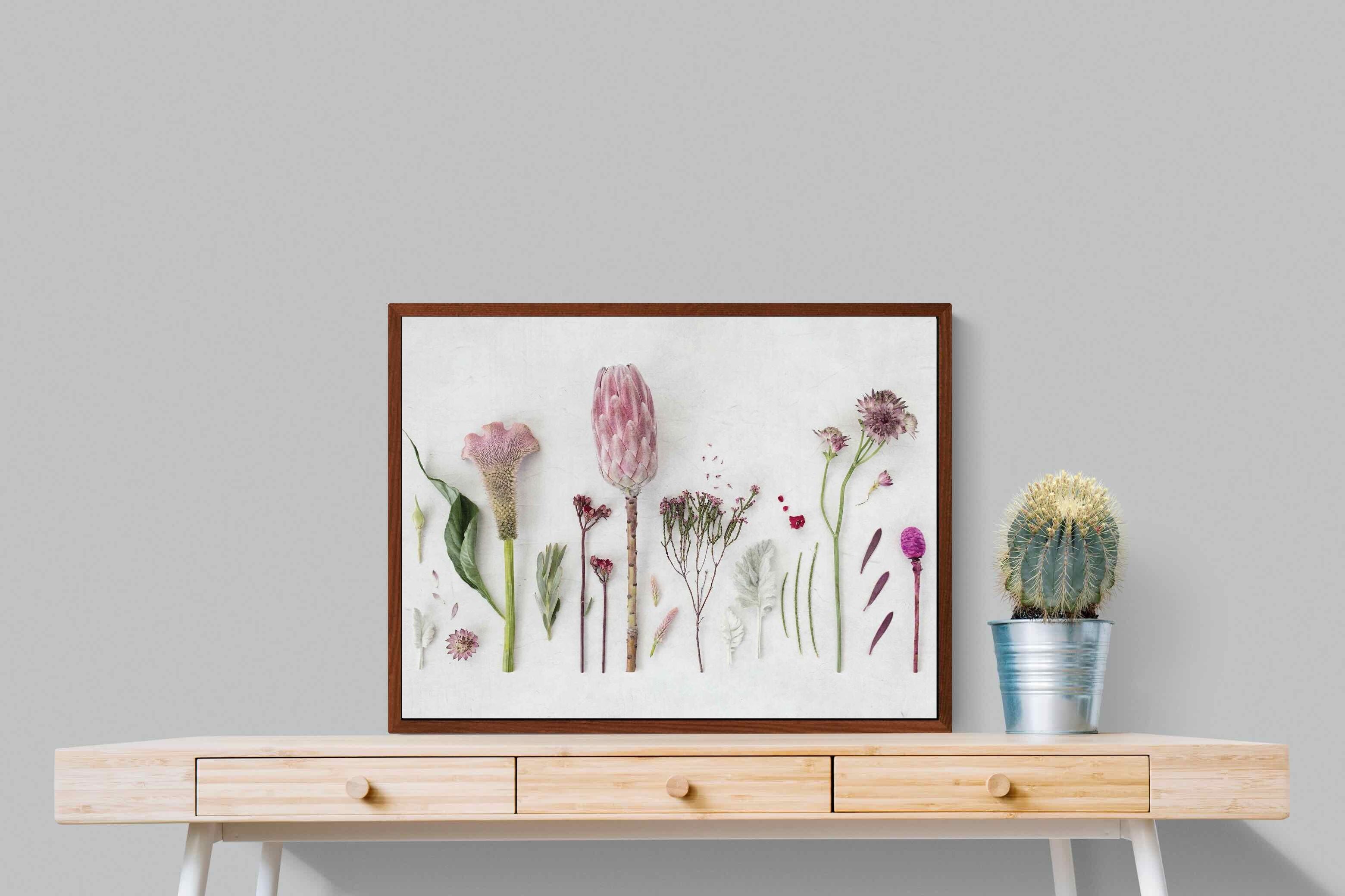 Pixalot Fynbos Garden