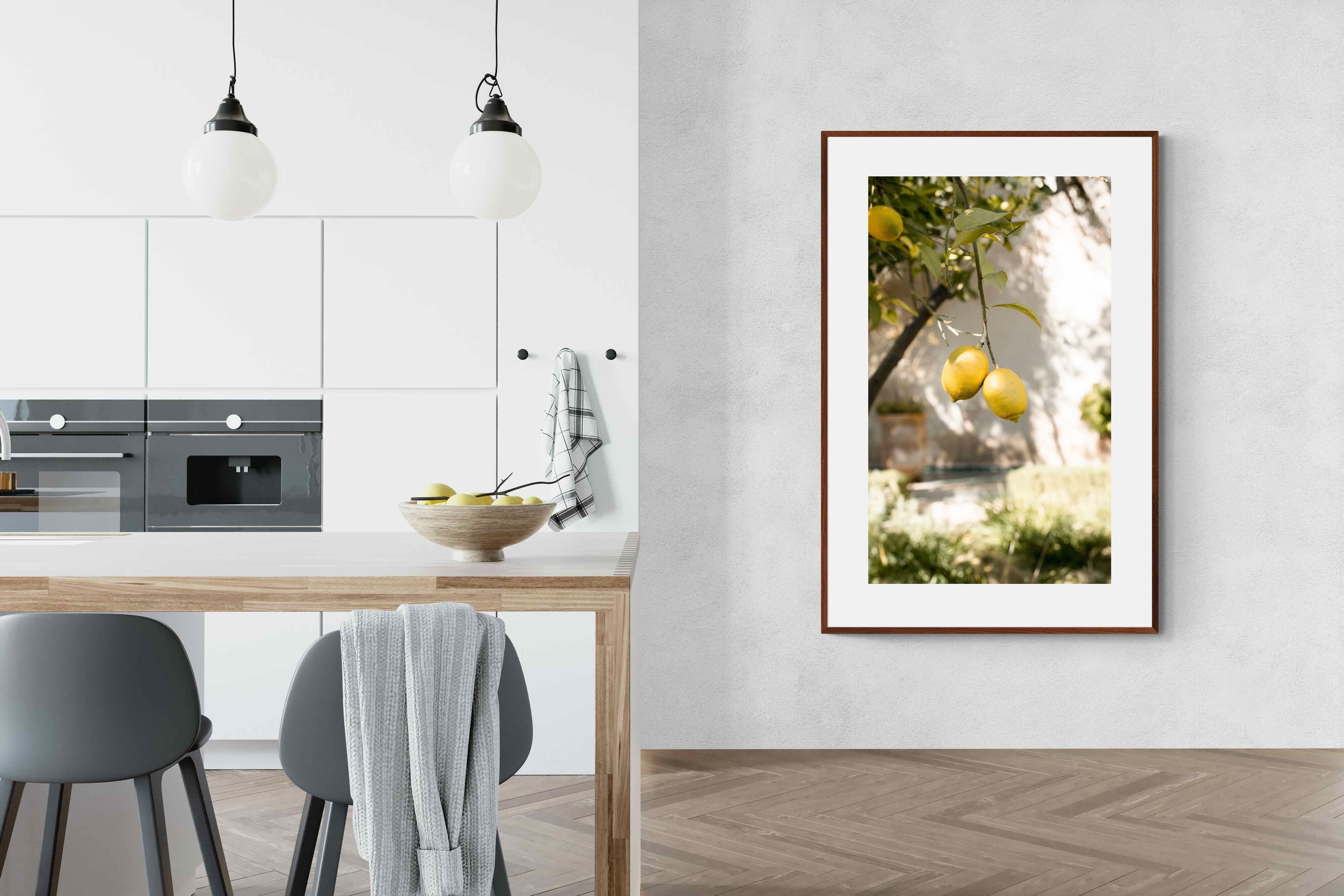 Pixalot Garden Lemons