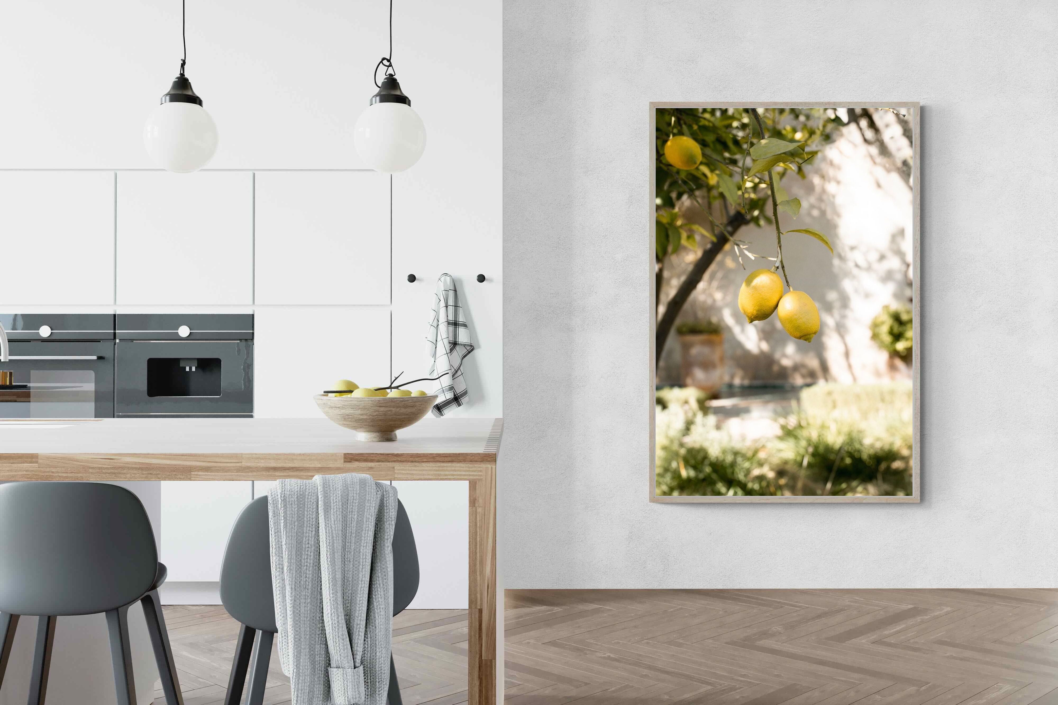 Pixalot Garden Lemons