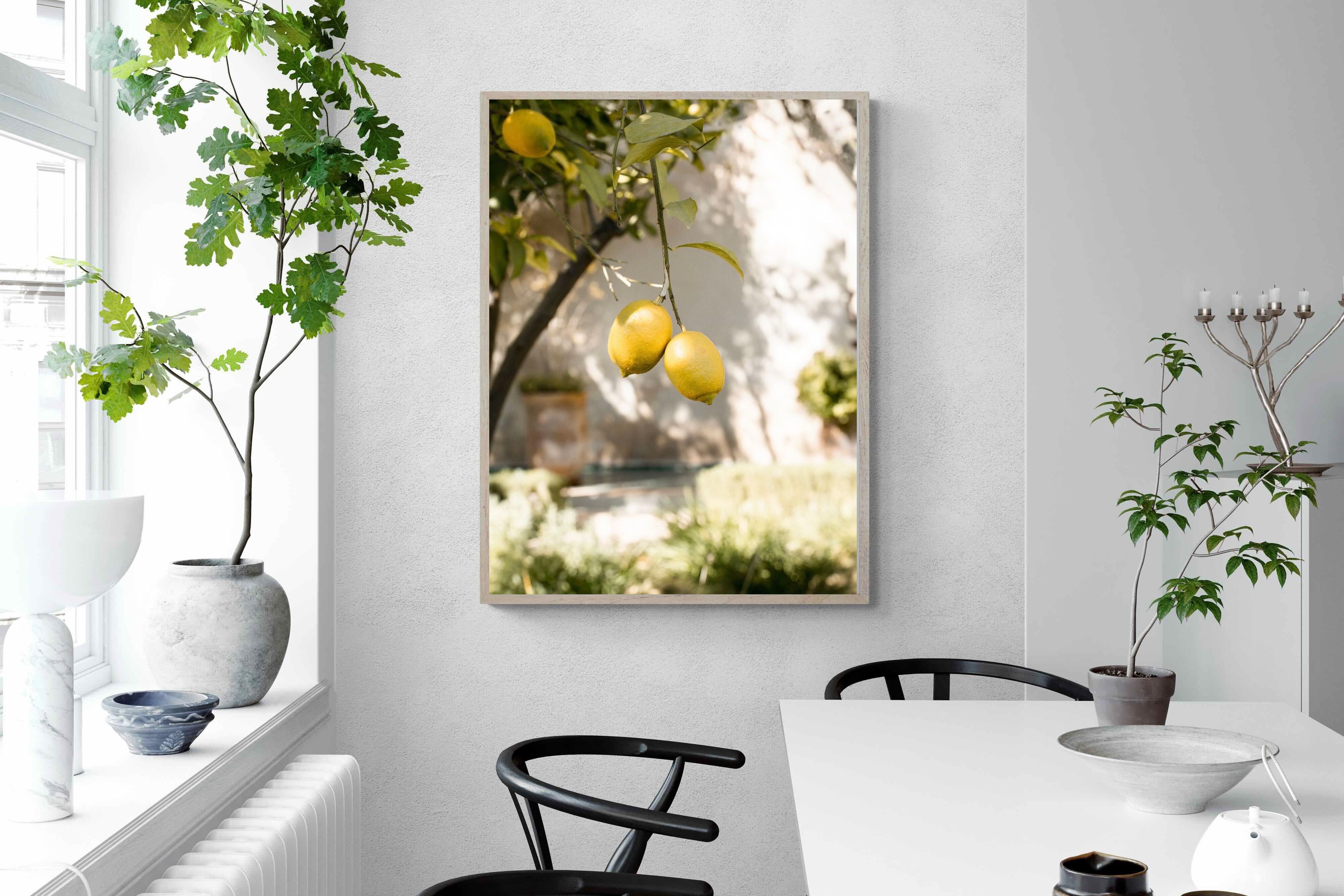 Pixalot Garden Lemons