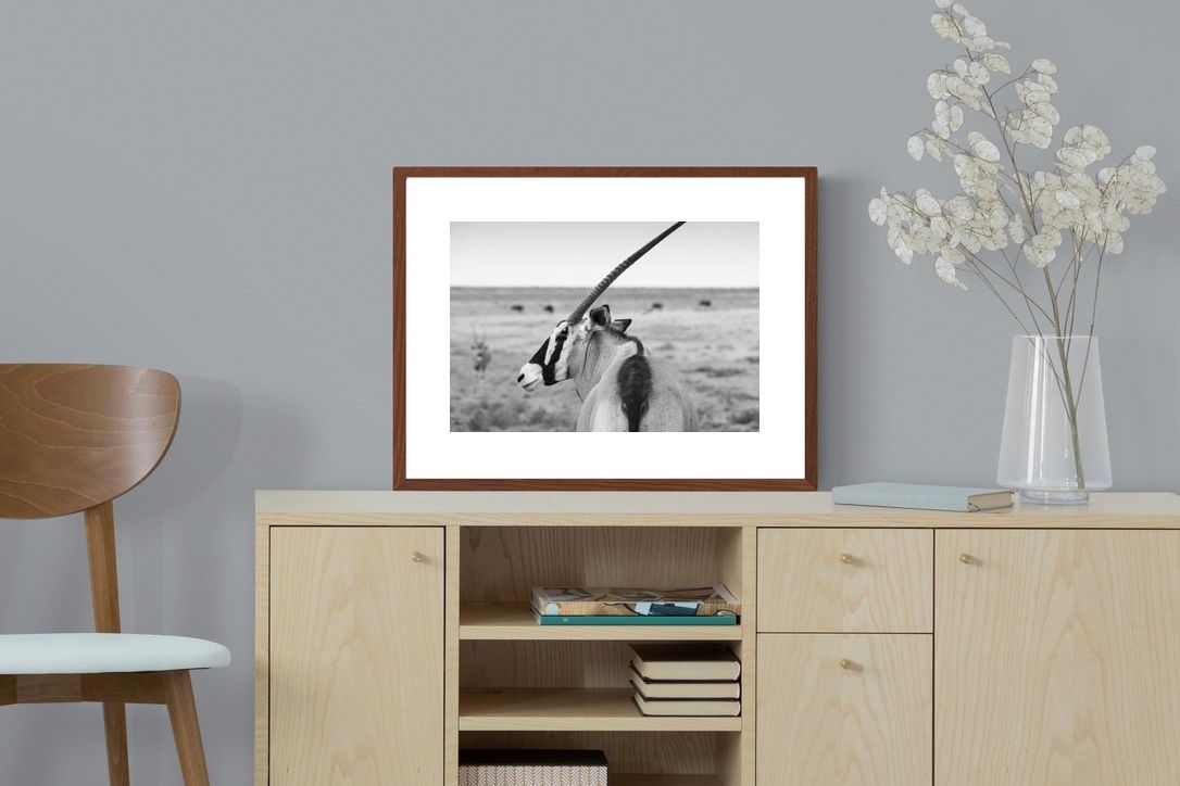 Pixalot ® Gemsbok