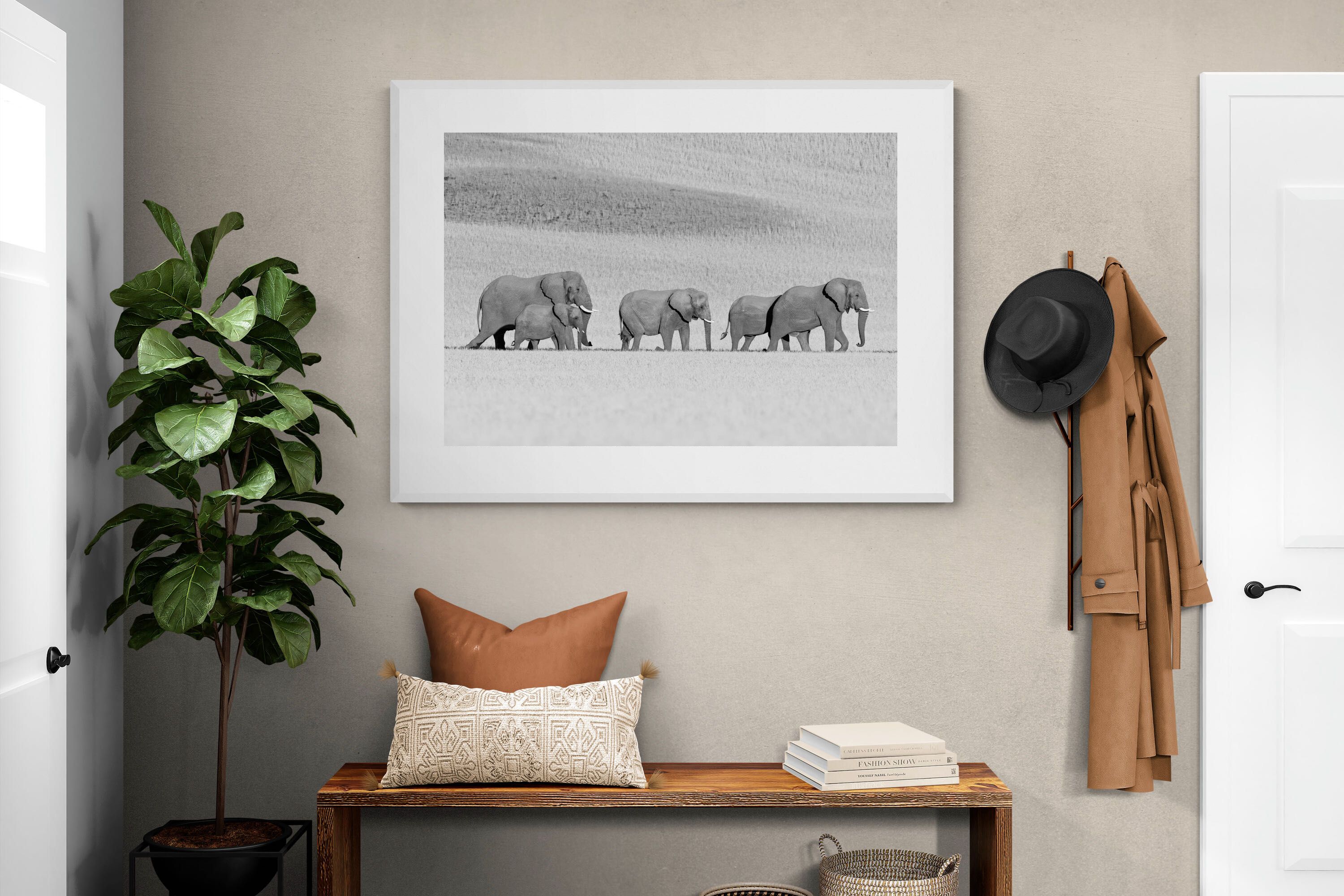 Pixalot ® Gentle Procession