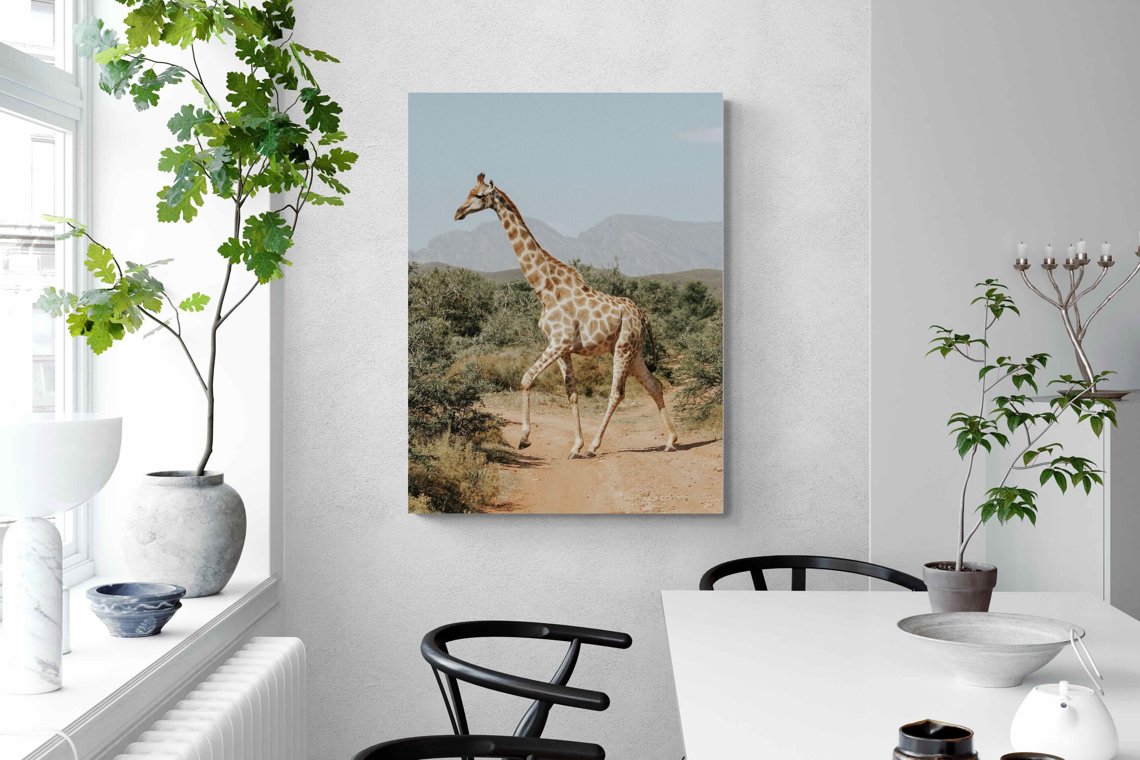 Pixalot Giraffe Crossing