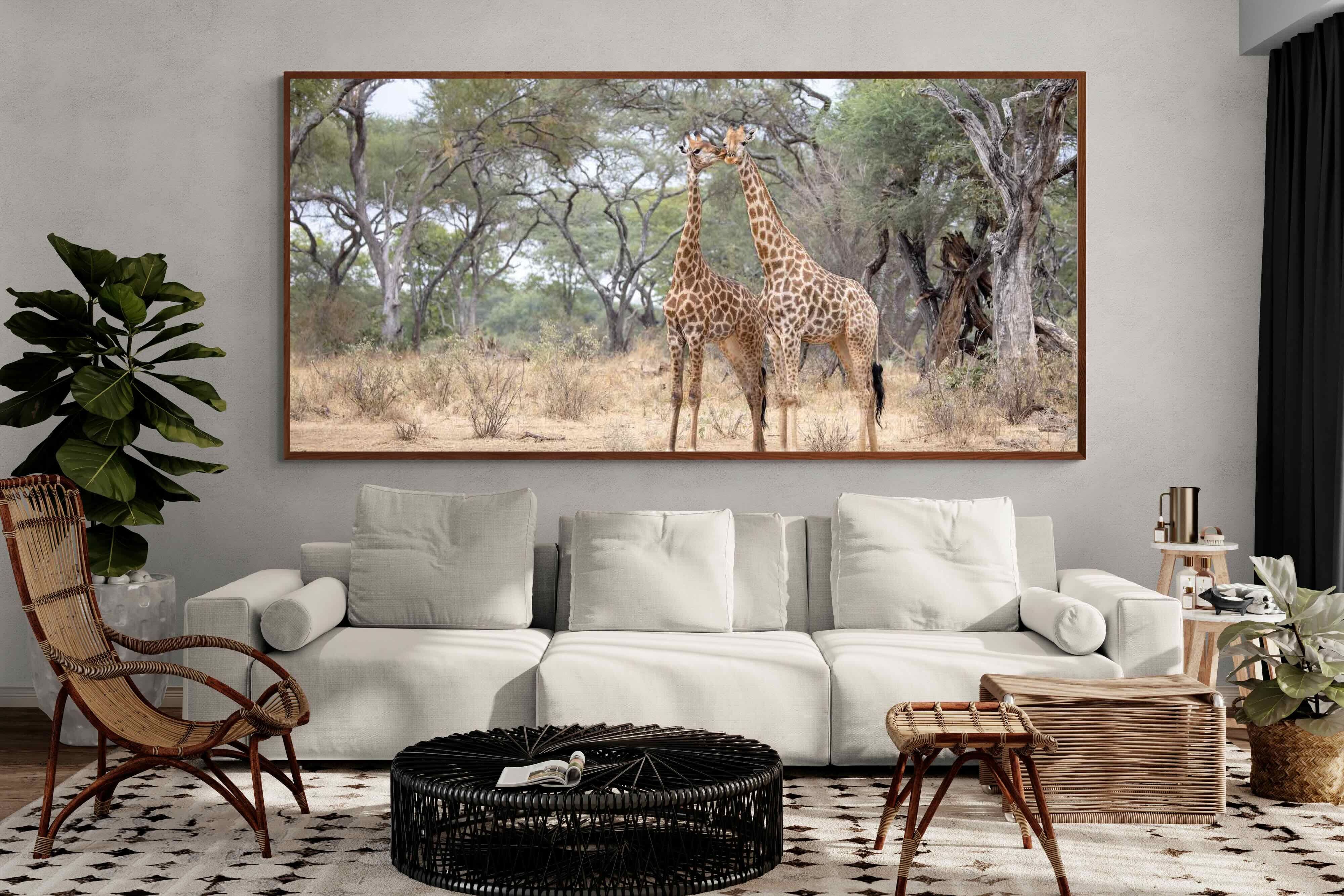 Pixalot Giraffe Kisses