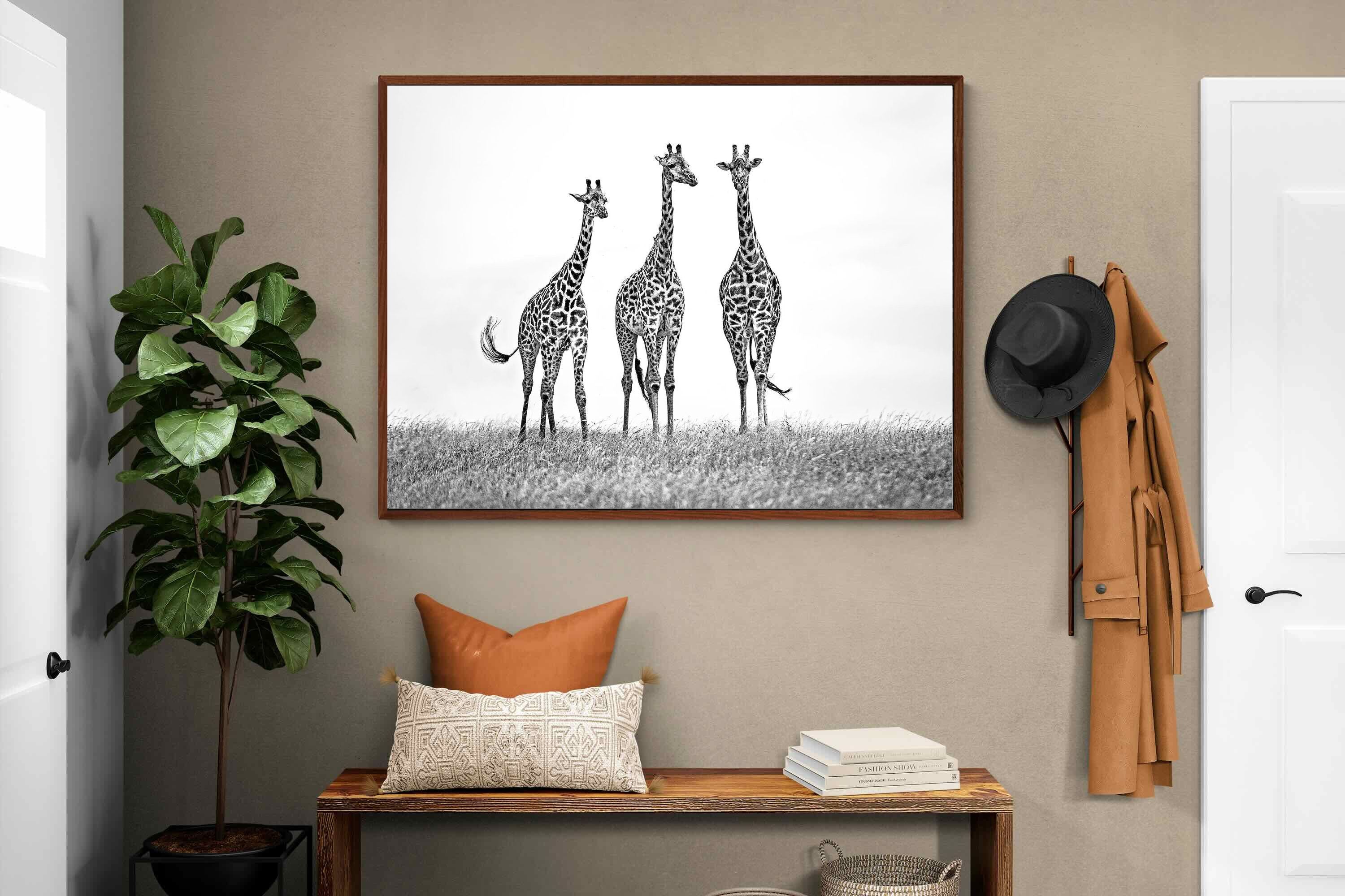Pixalot ® Giraffe Sketch