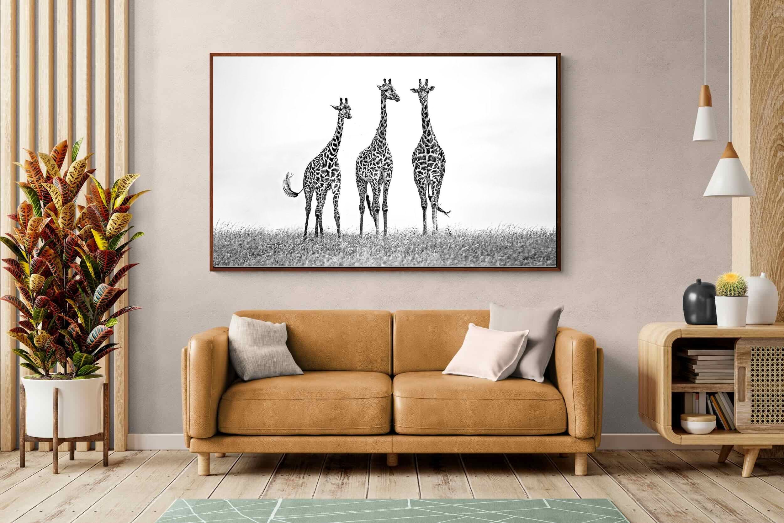 Pixalot ® Giraffe Sketch