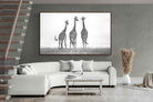 Pixalot ® Giraffe Sketch