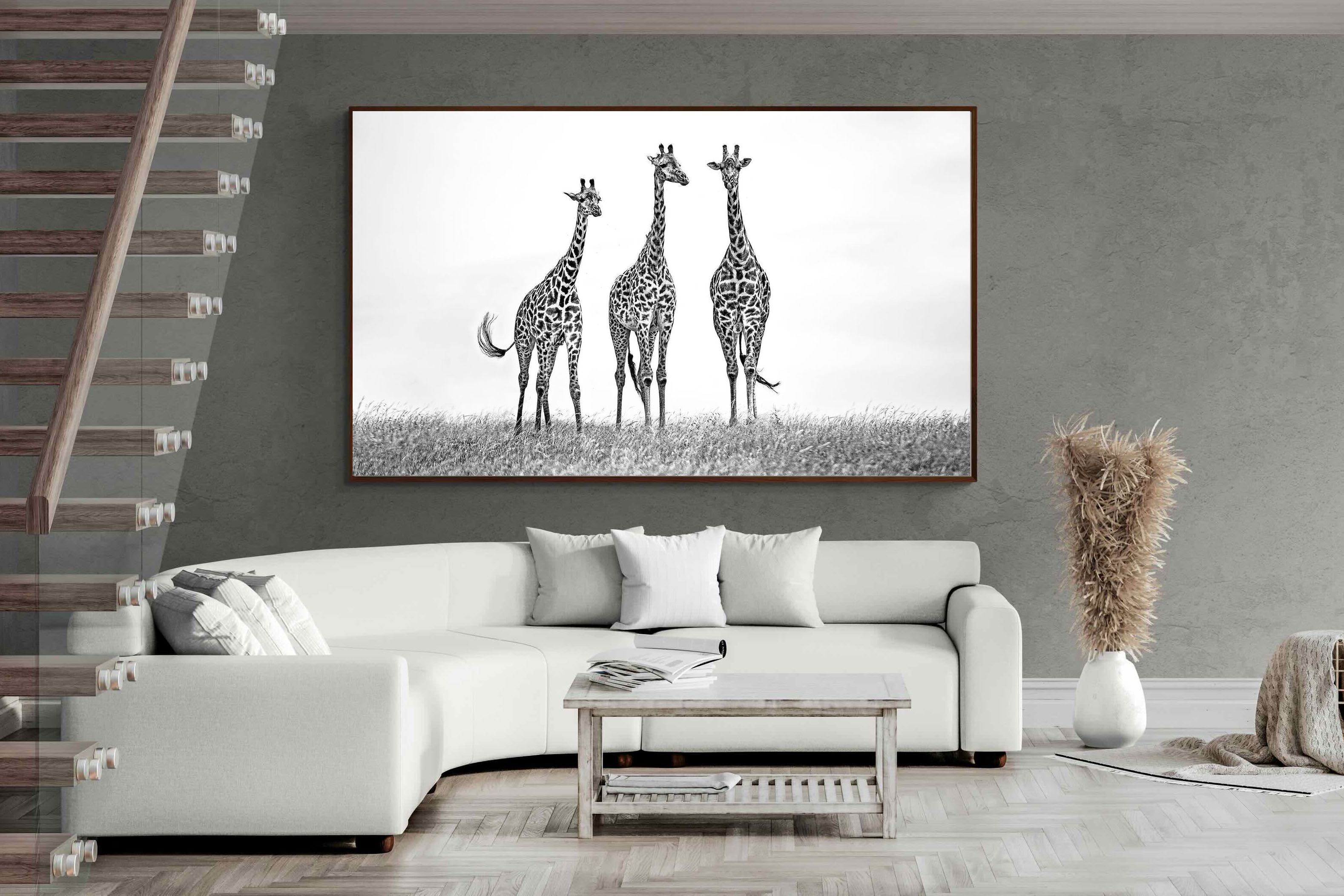 Pixalot ® Giraffe Sketch
