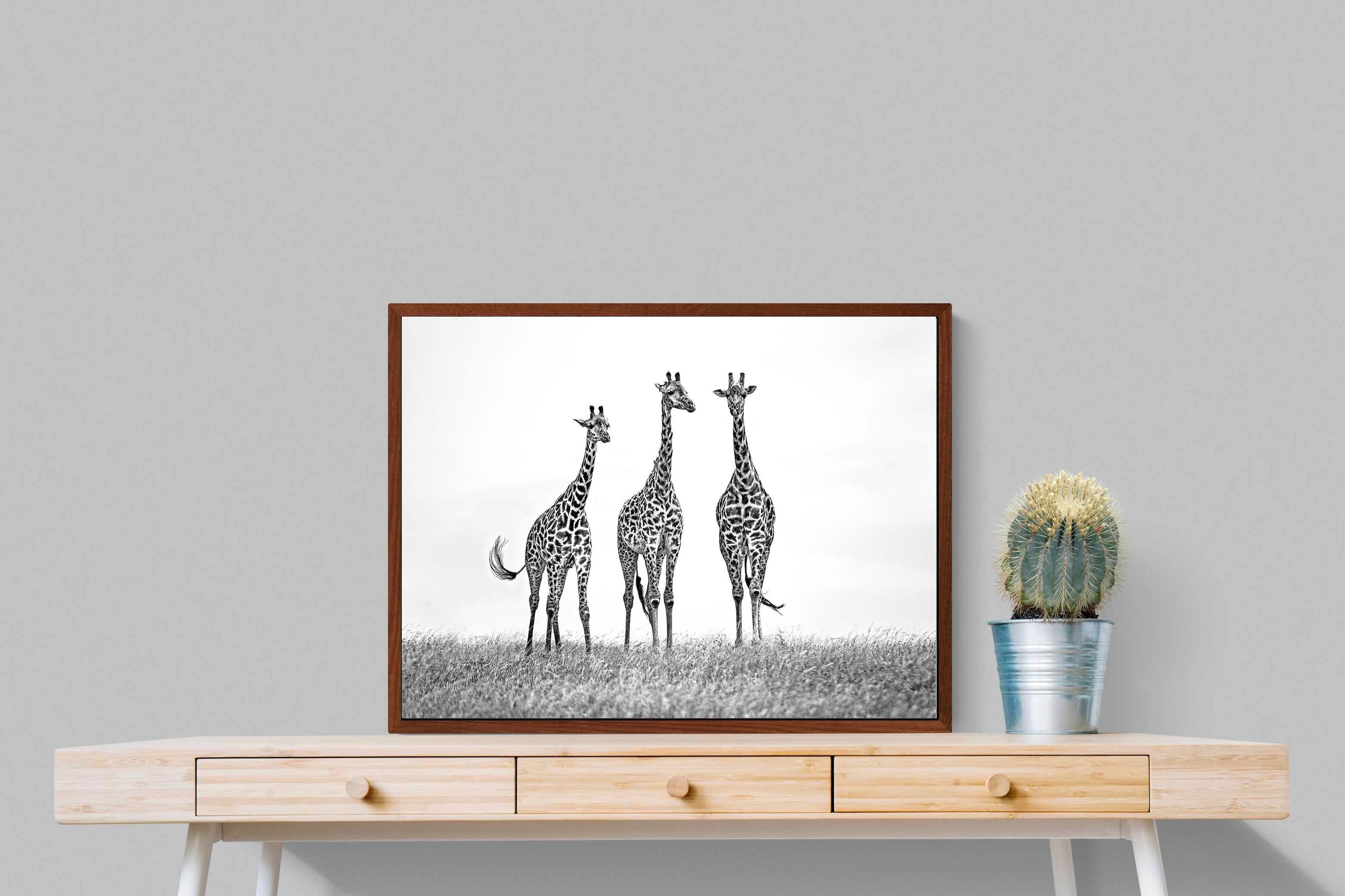 Pixalot ® Giraffe Sketch