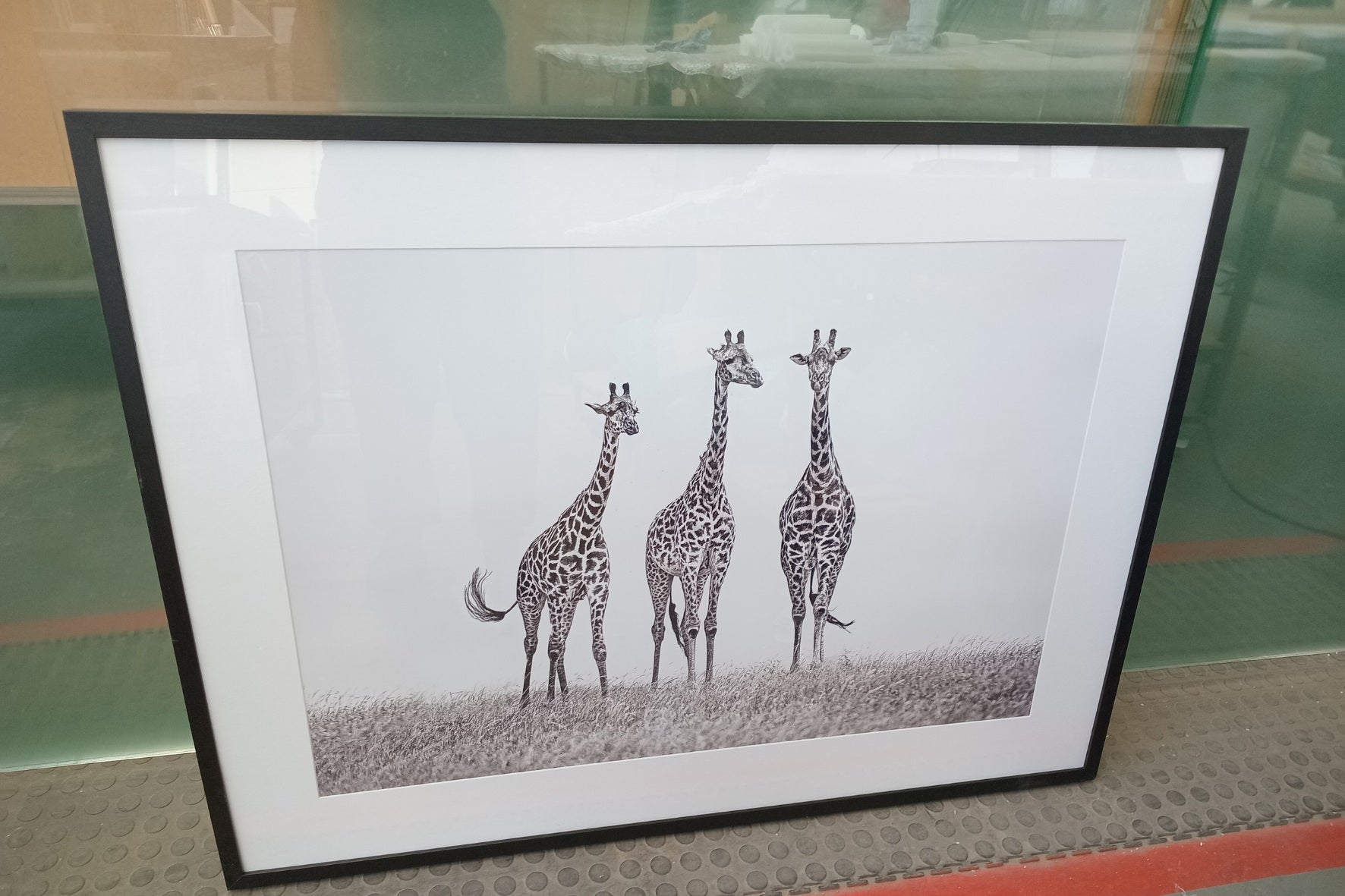 Giraffe Sketch  | SALE