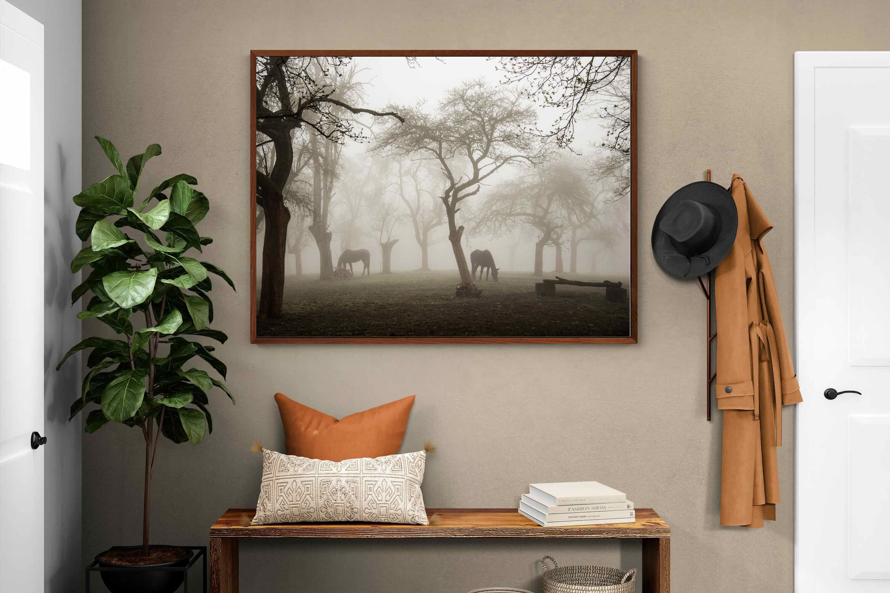 Pixalot ® Grazing in the Fog