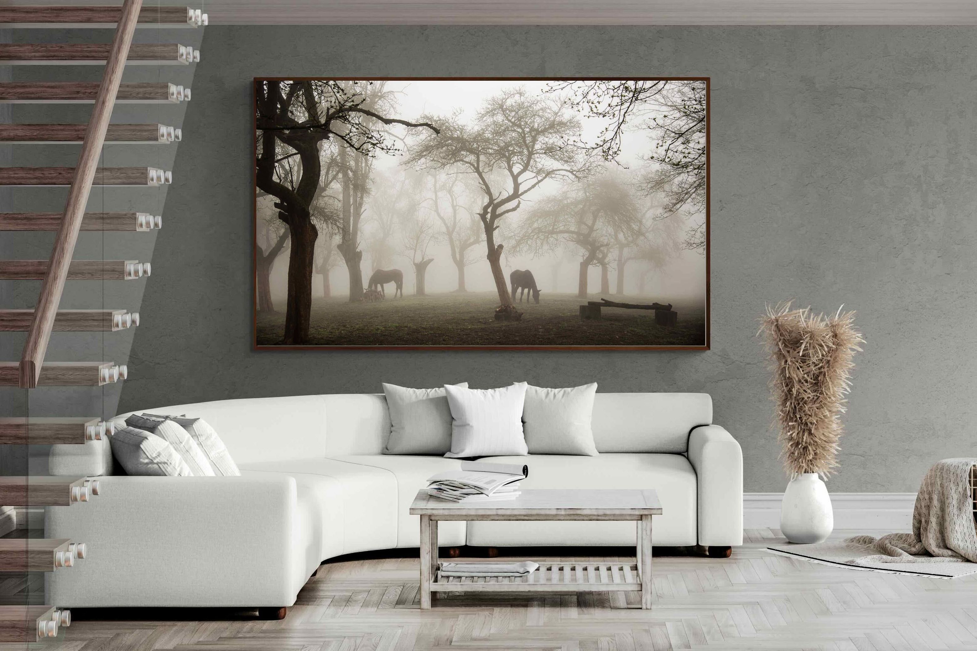 Pixalot ® Grazing in the Fog