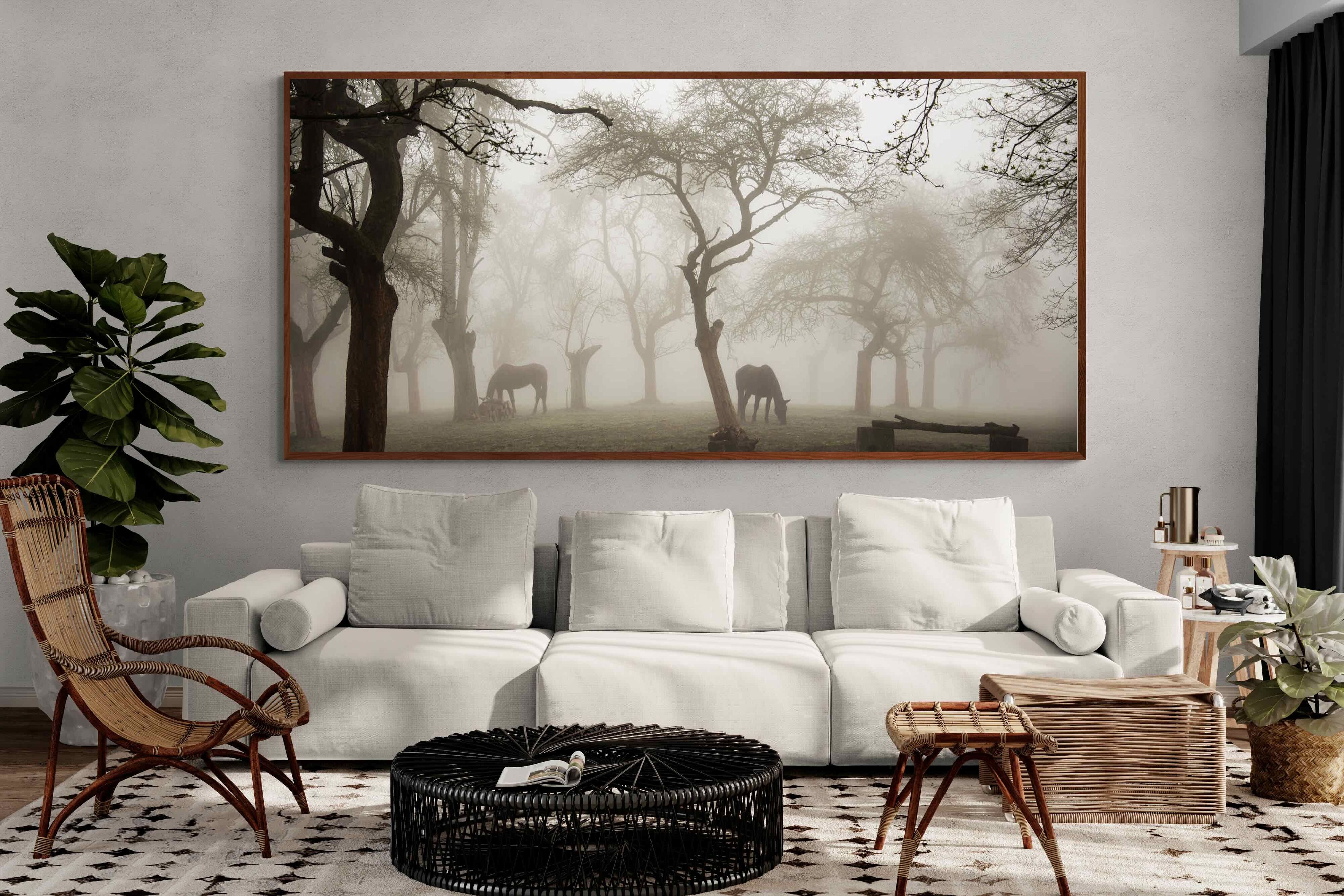 Pixalot ® Grazing in the Fog