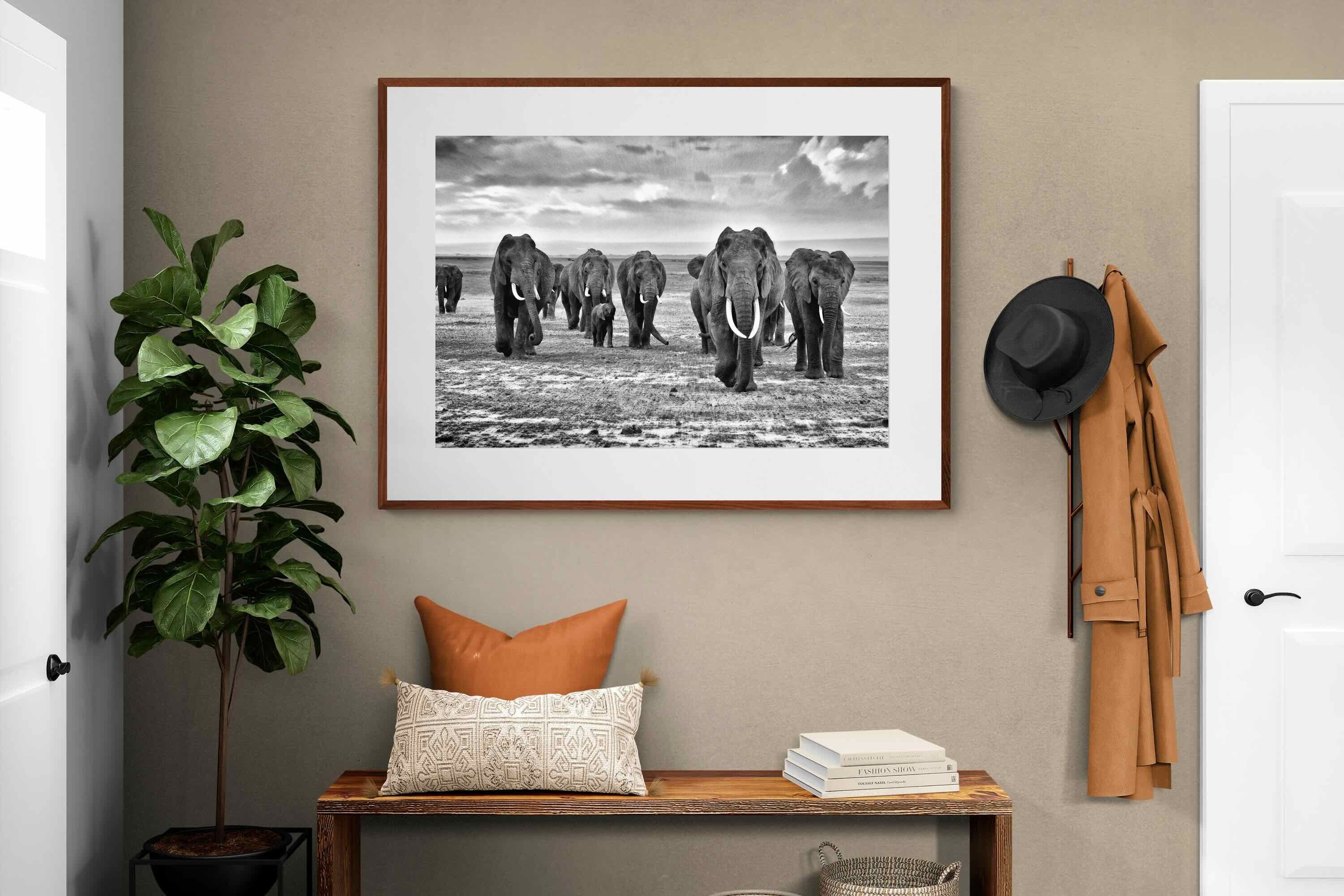 Pixalot ® Great Tuskers
