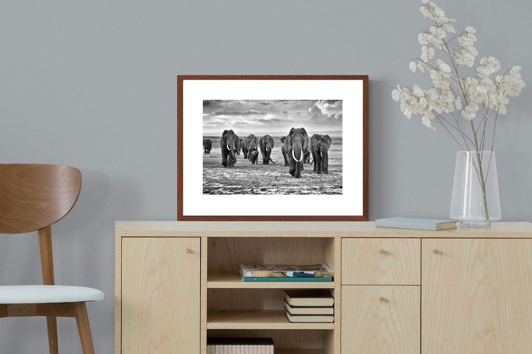Pixalot ® Great Tuskers