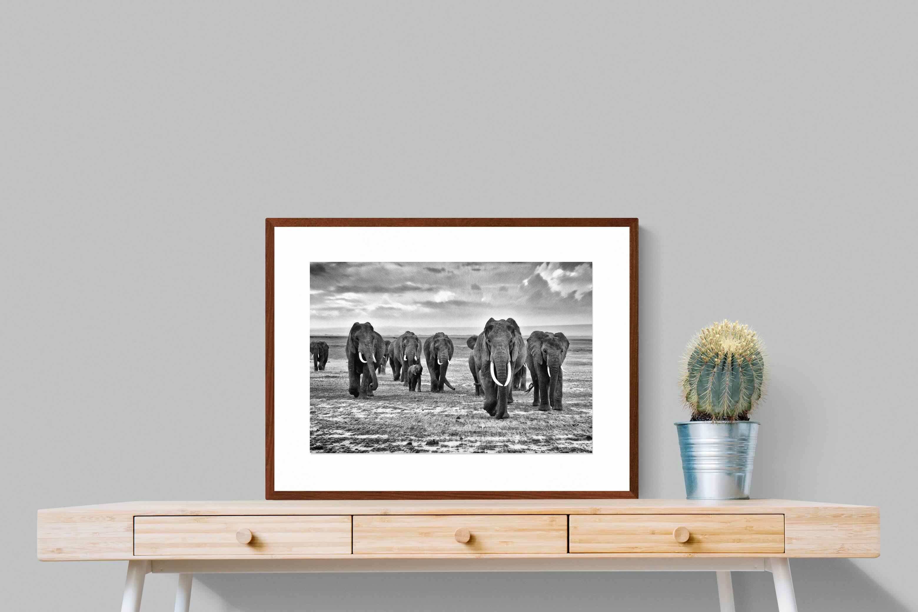 Pixalot ® Great Tuskers
