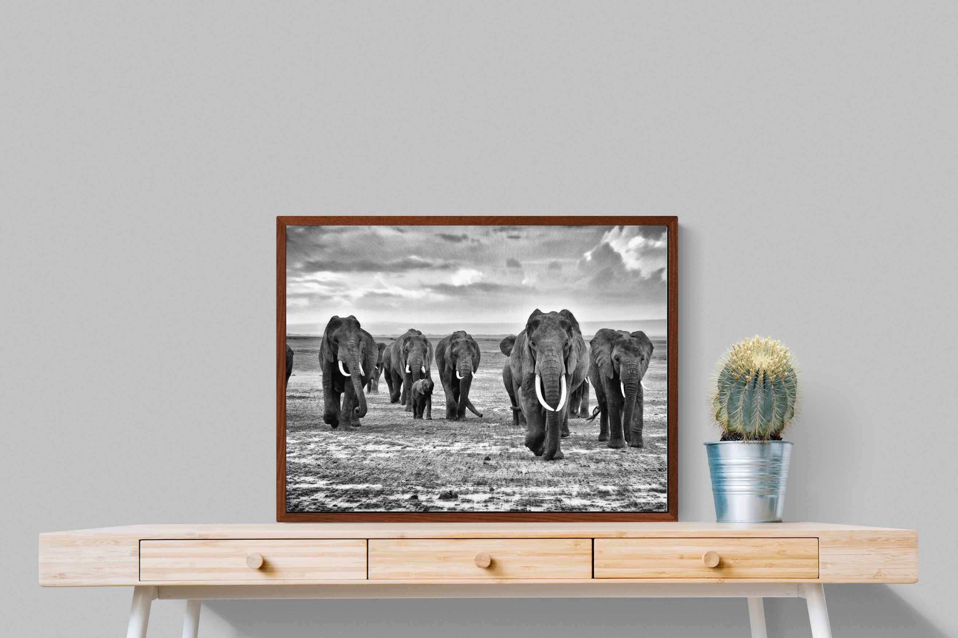 Pixalot ® Great Tuskers