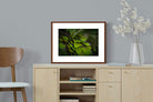 Pixalot ® Green Feathers