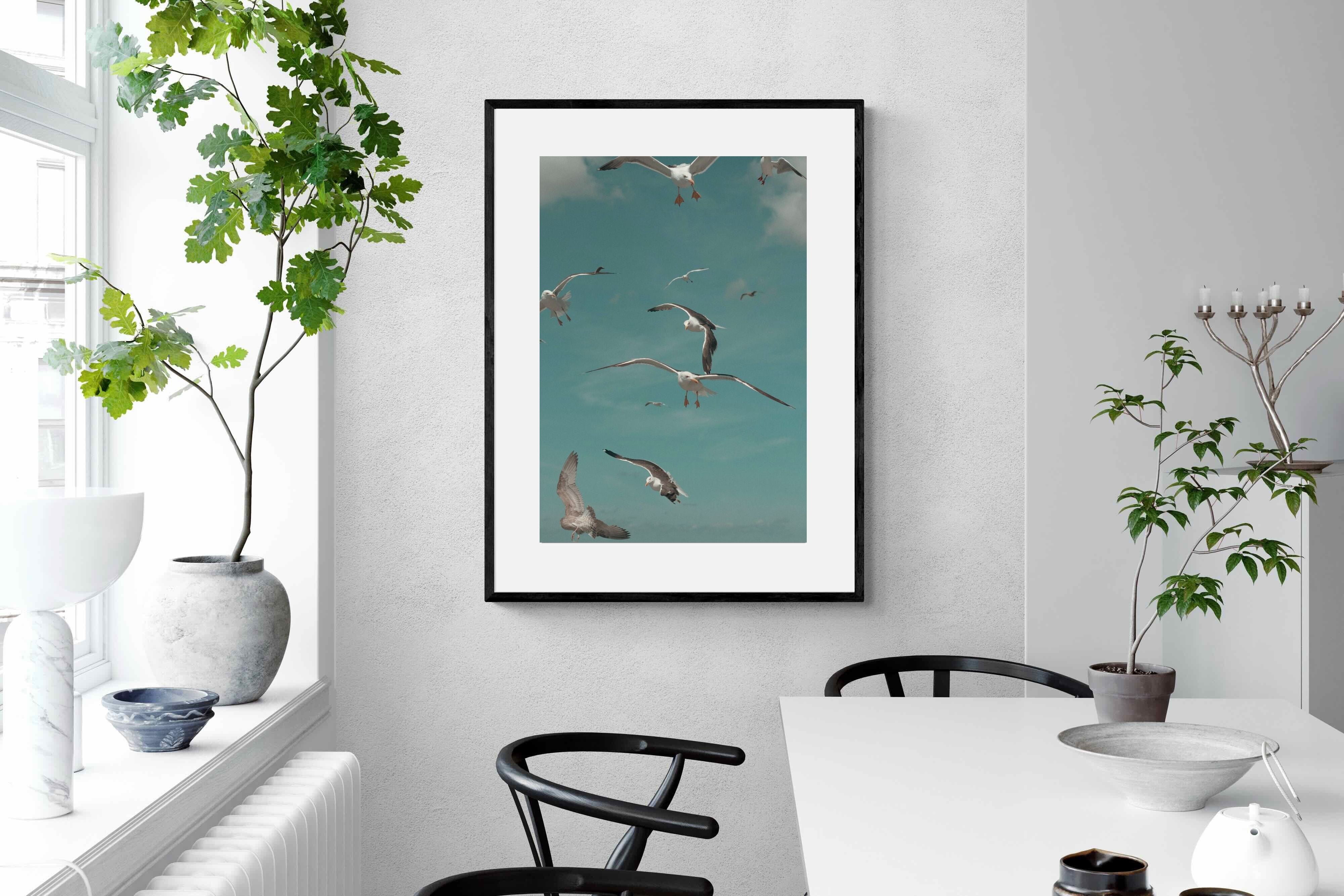 Pixalot ® Gulls in Blue