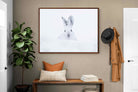 Pixalot ® Hare