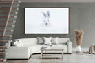 Pixalot ® Hare