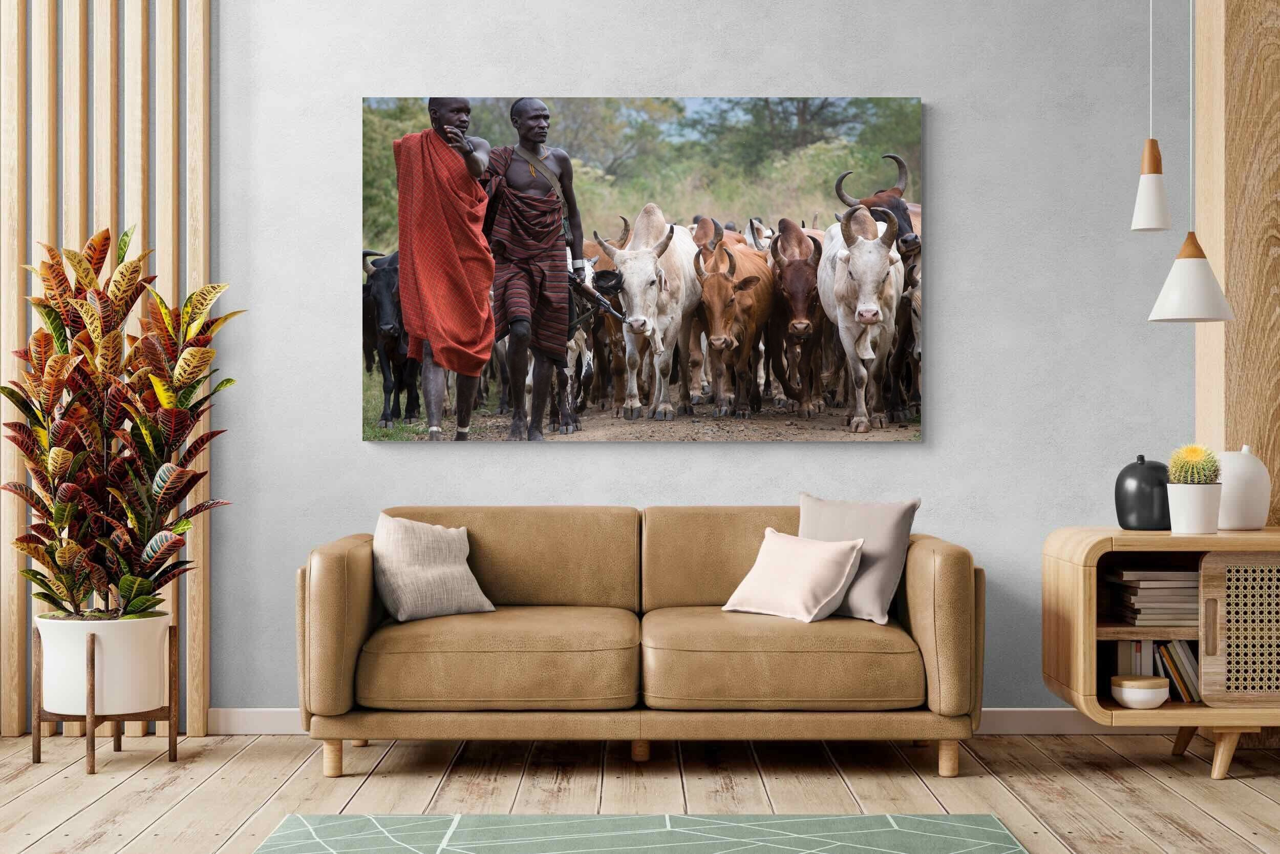 Pixalot Herding Omo