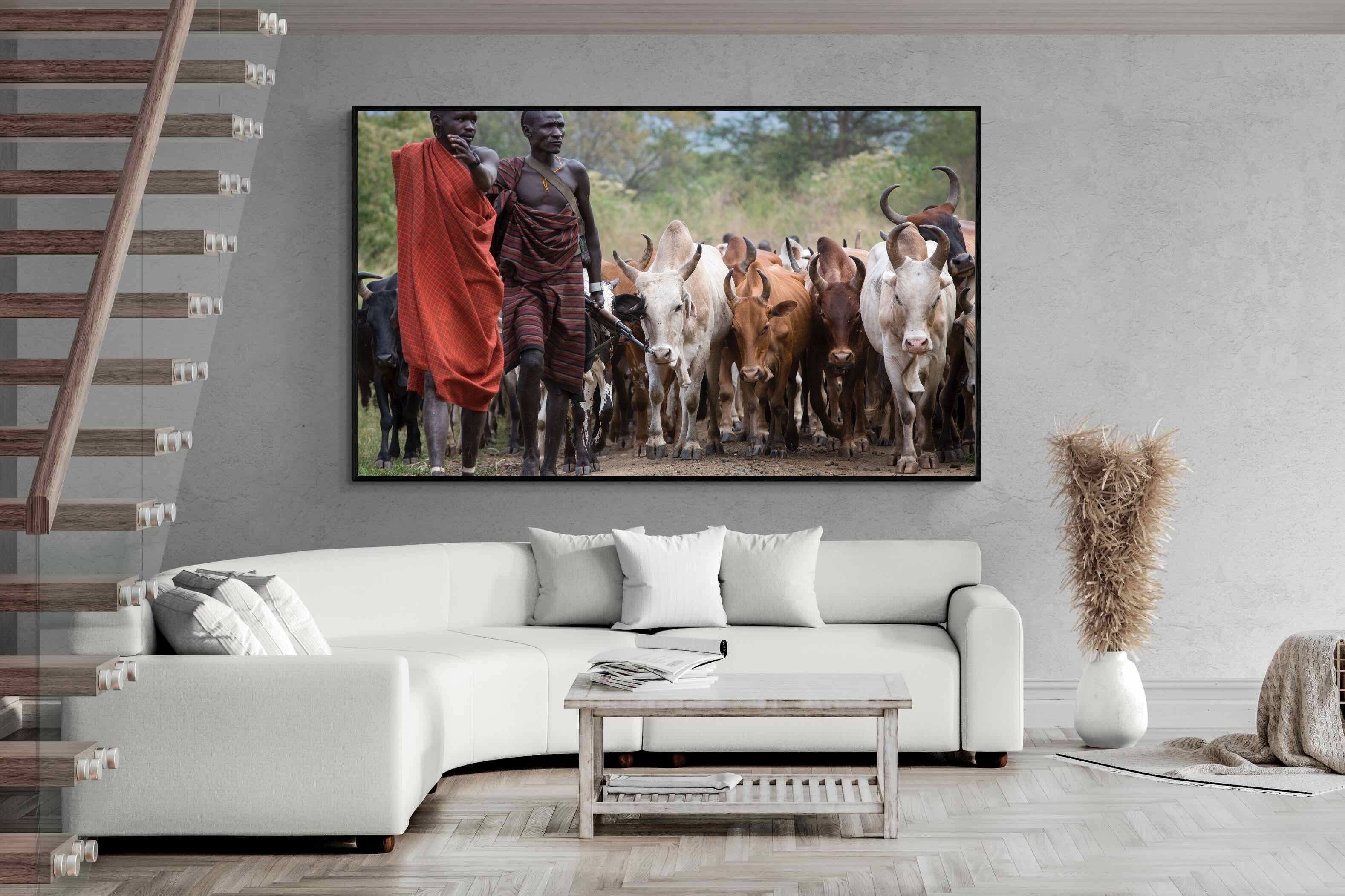 Pixalot Herding Omo