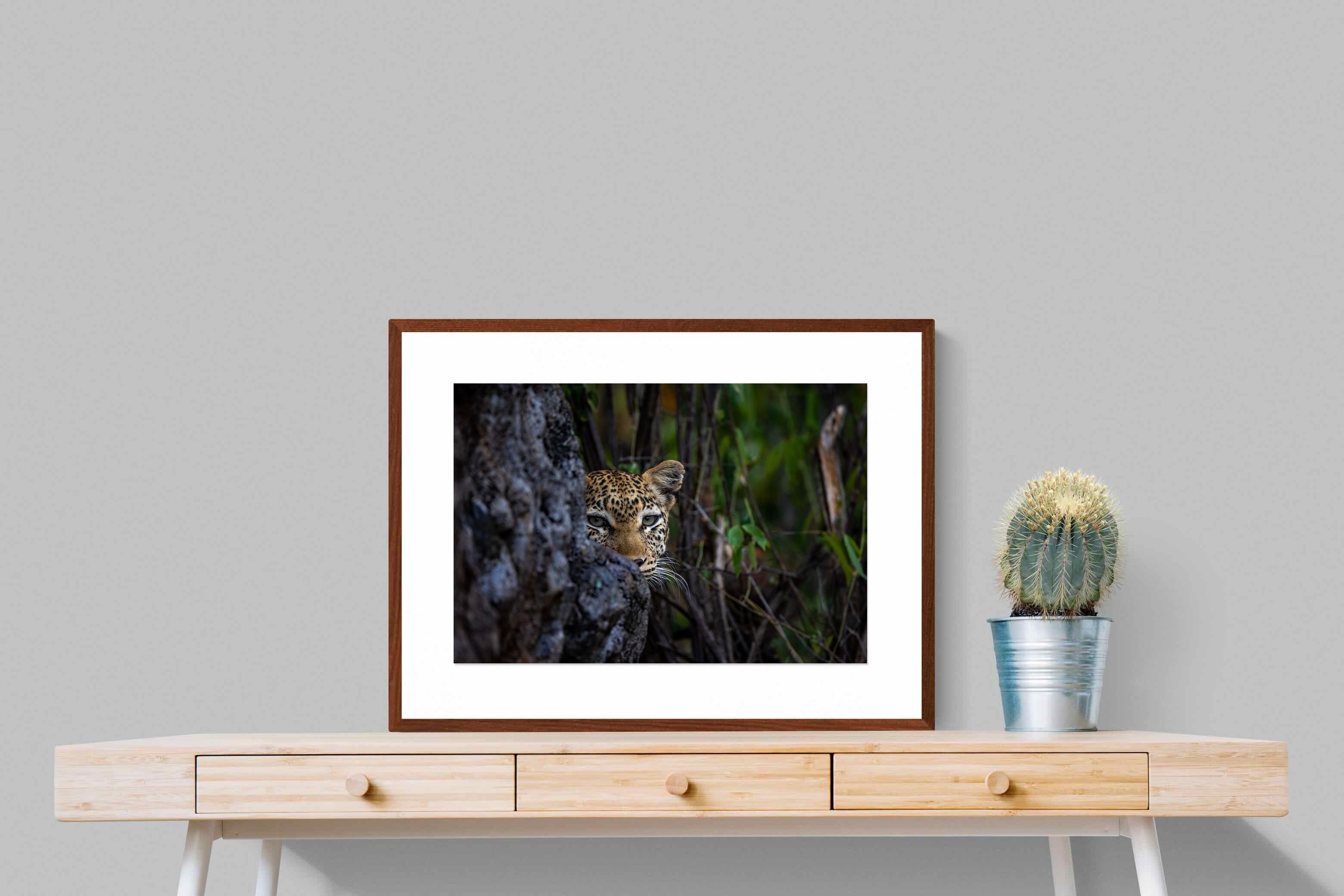 Pixalot Hidden Majesty