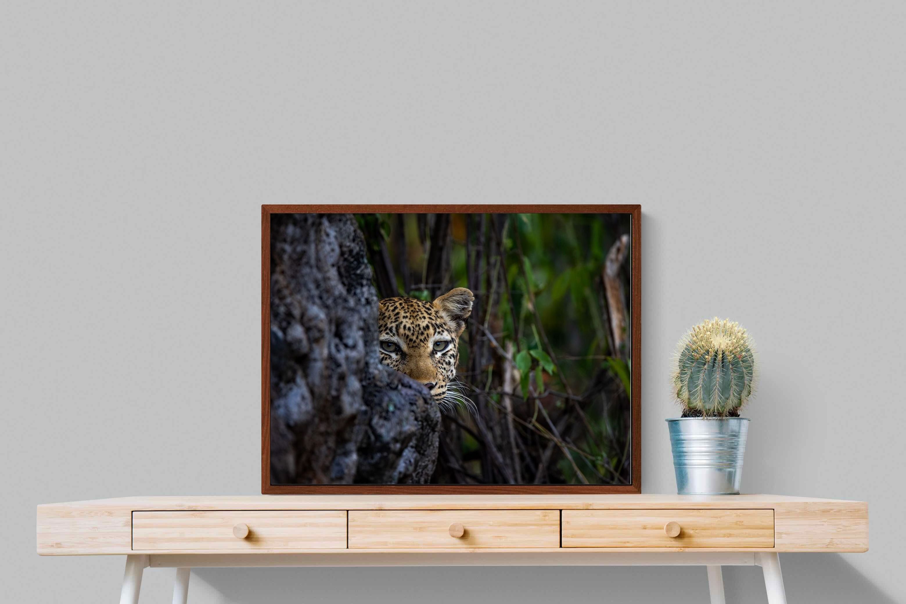 Pixalot Hidden Majesty