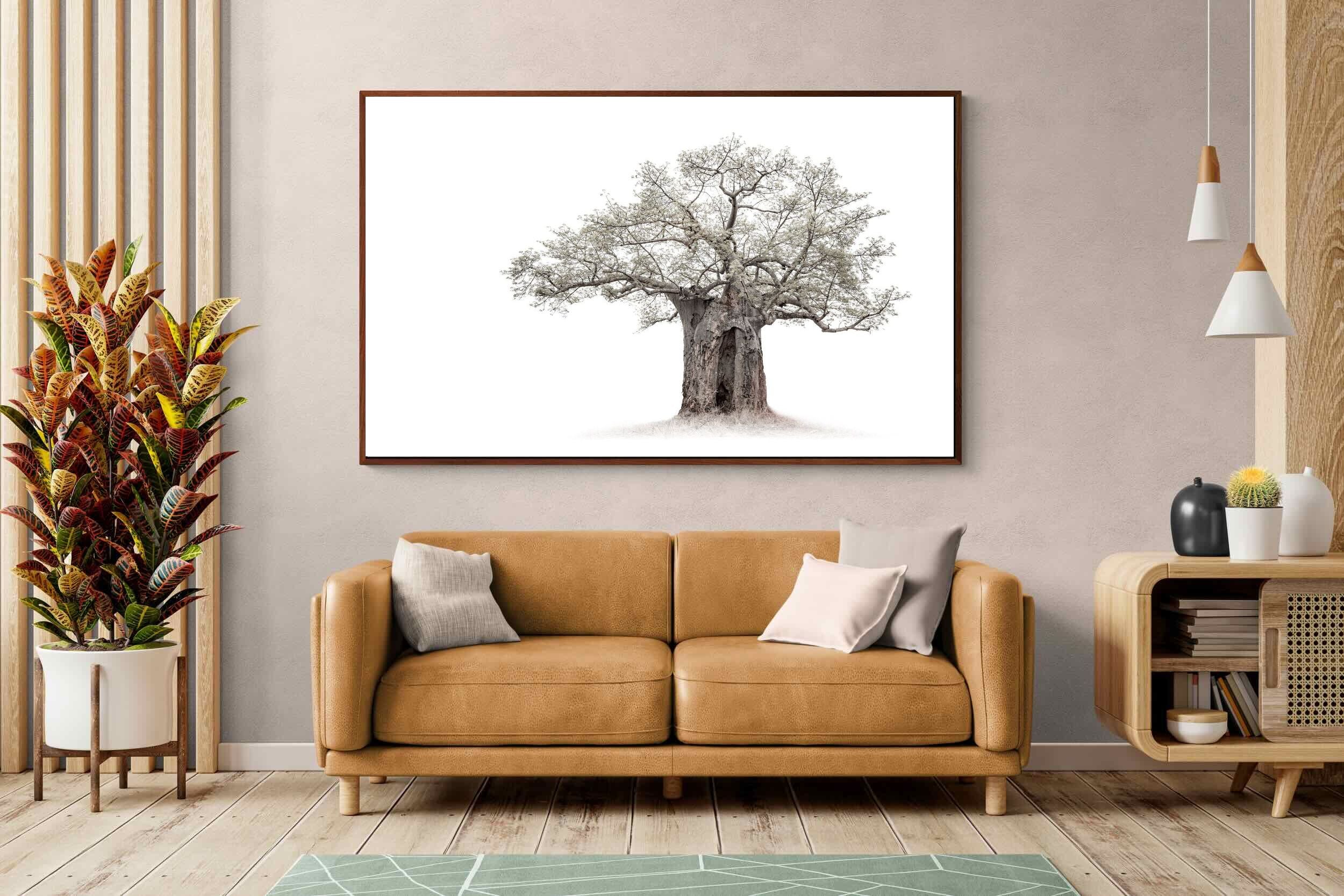 Pixalot High Key Baobab