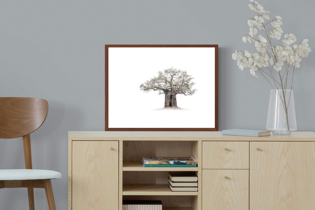 Pixalot High Key Baobab