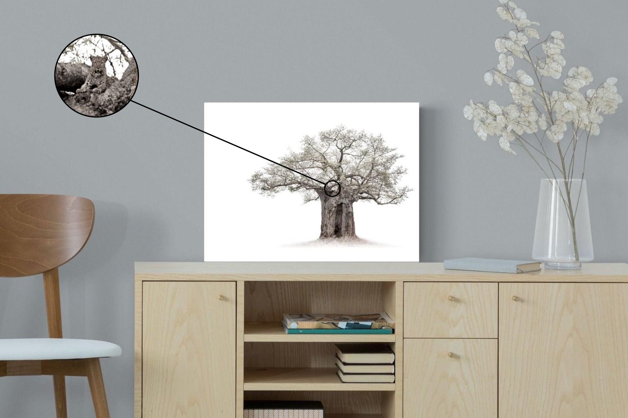 High Key Baobab-Wall_Art-60 x 45cm-Mounted Canvas-No Frame-Pixalot