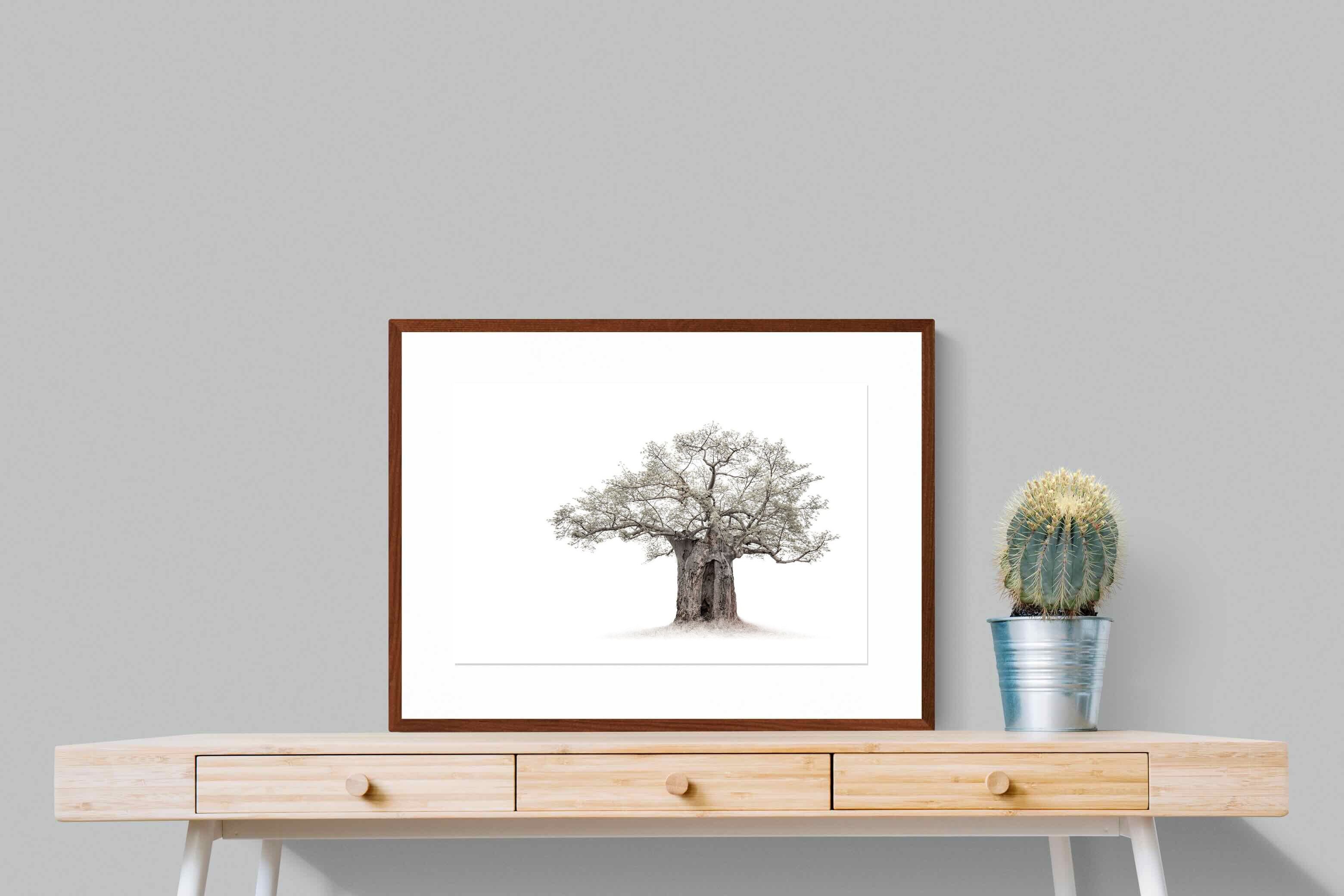 Pixalot High Key Baobab