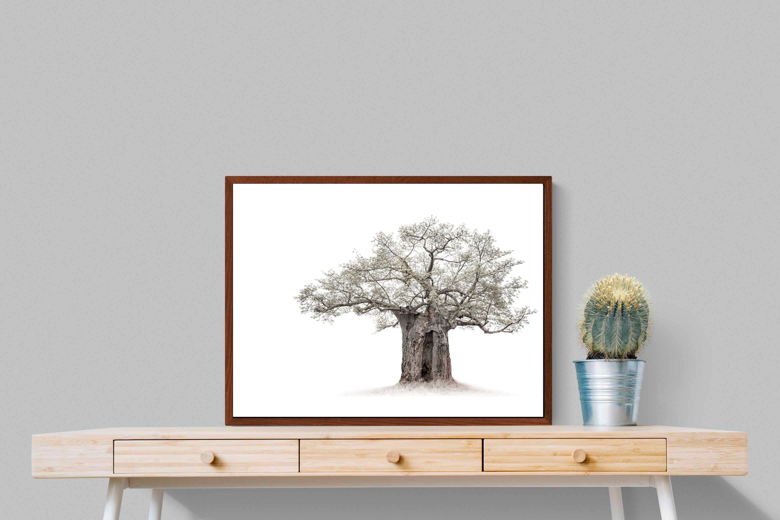 Pixalot High Key Baobab