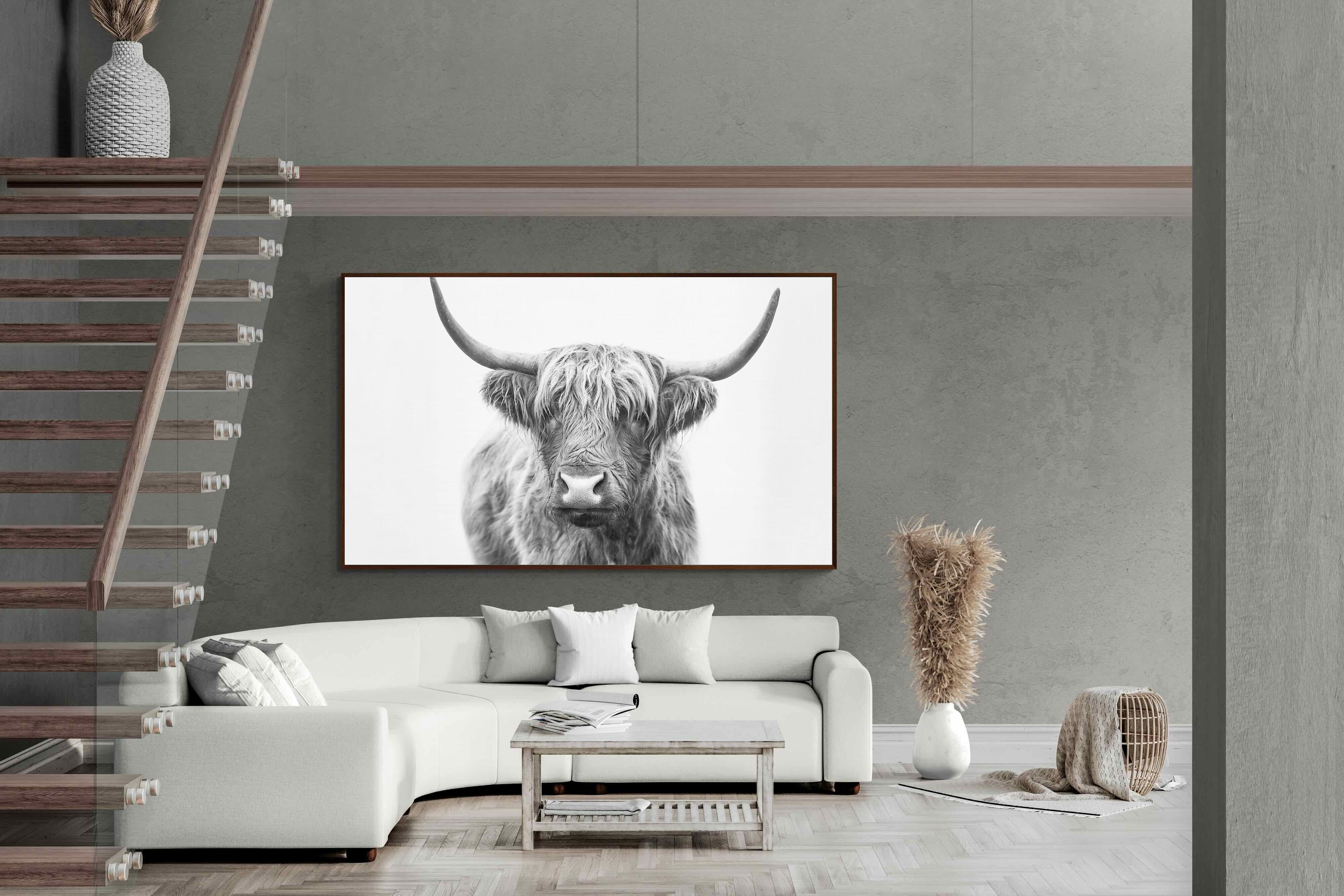 Pixalot Highland Bull