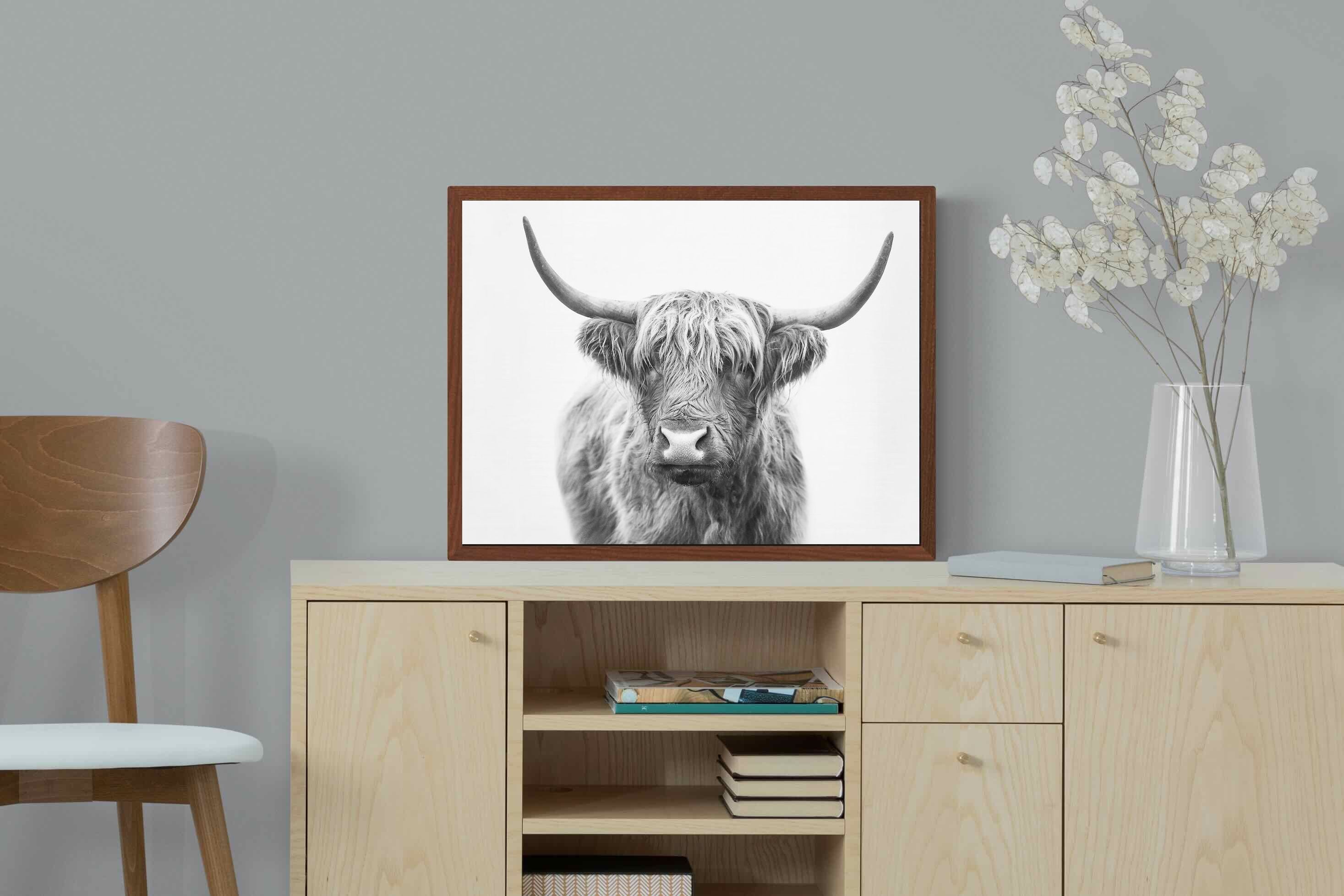 Pixalot Highland Bull