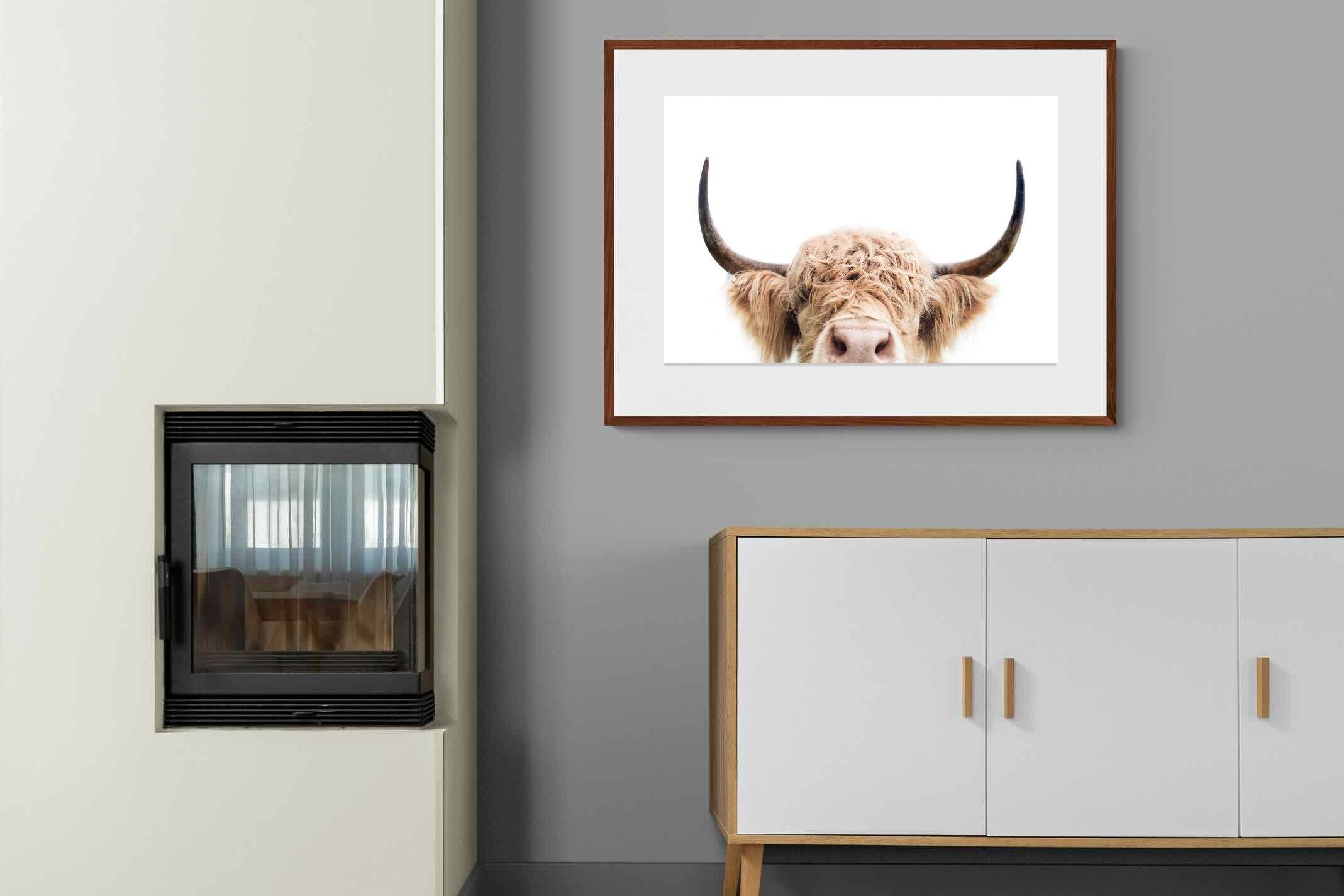 Pixalot Highland Peekaboo