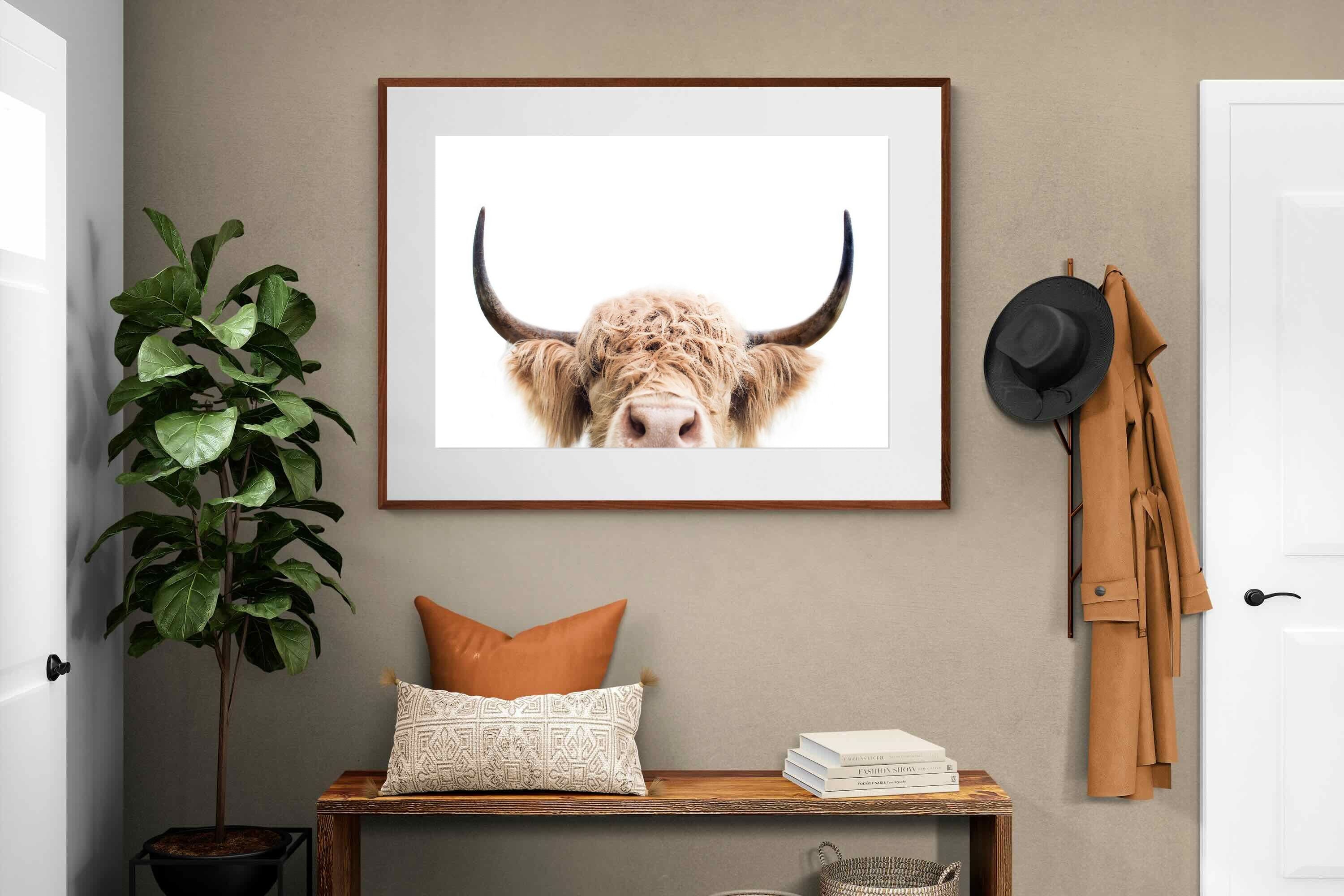 Pixalot Highland Peekaboo