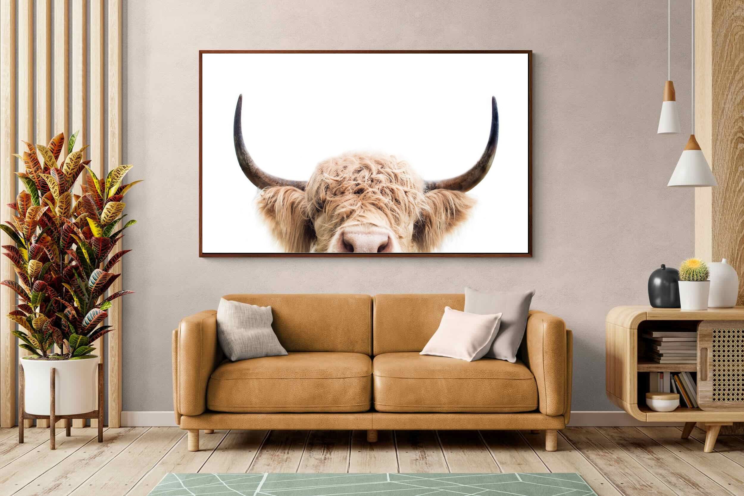 Pixalot Highland Peekaboo